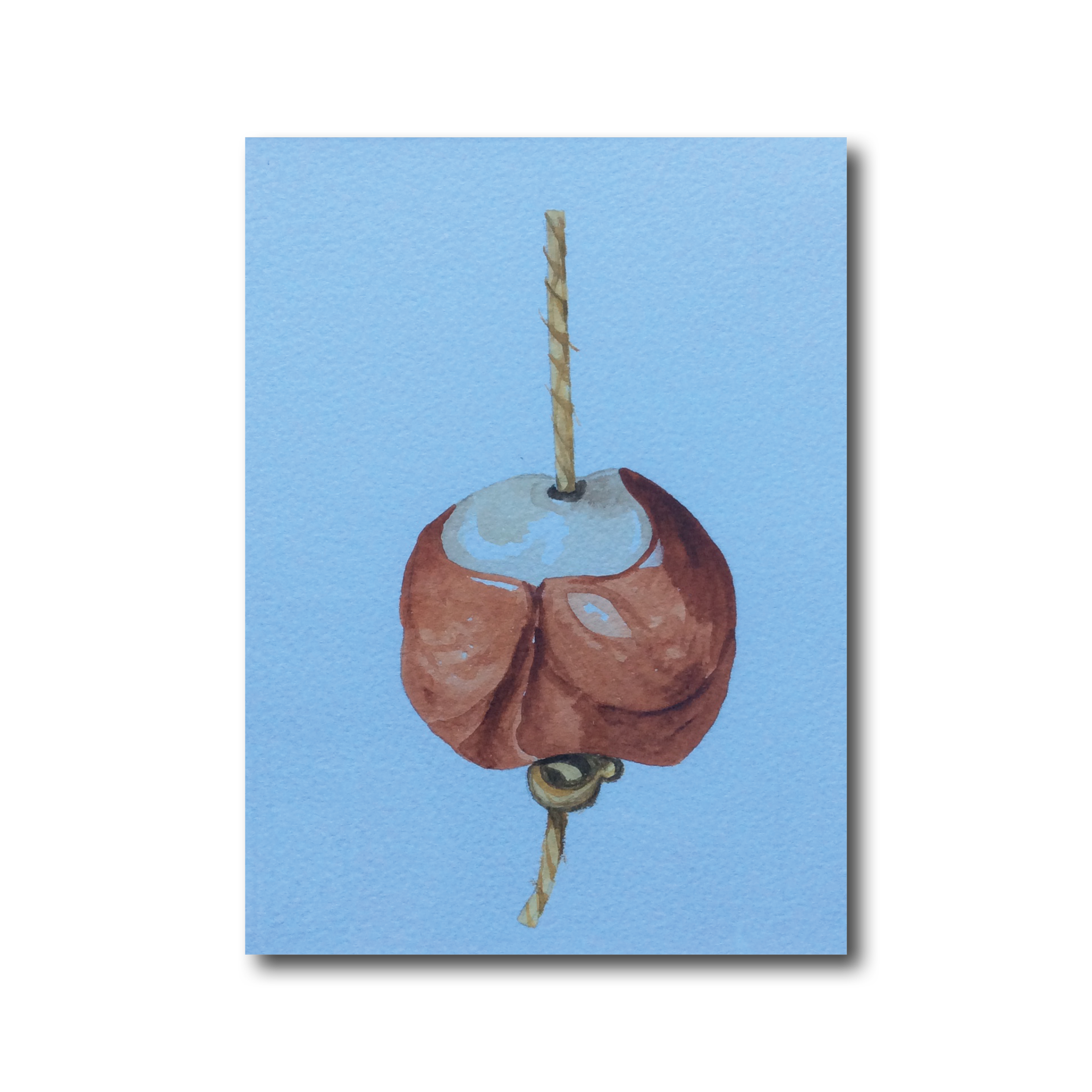 Conkers 1