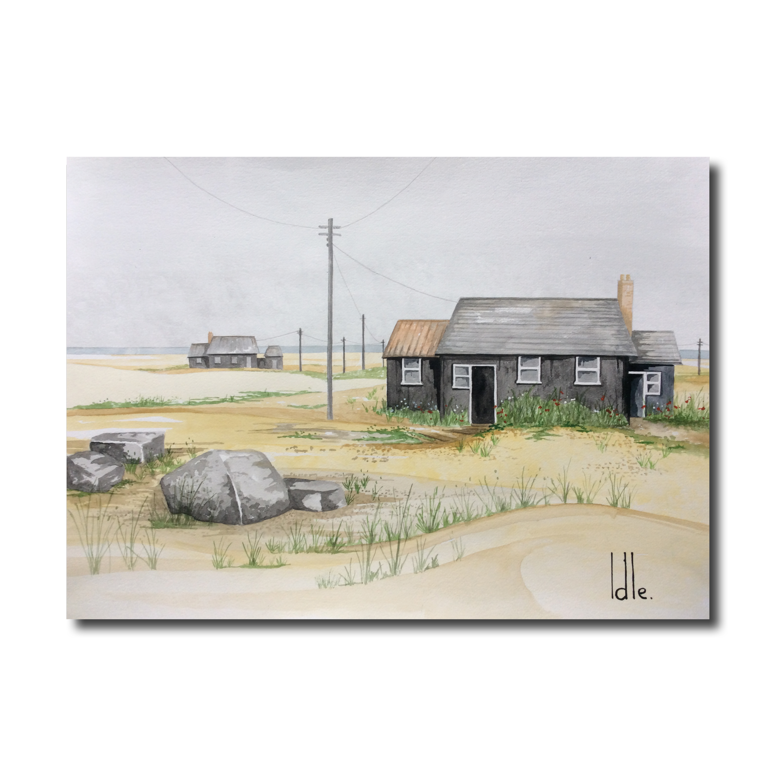 Dungeness 1
