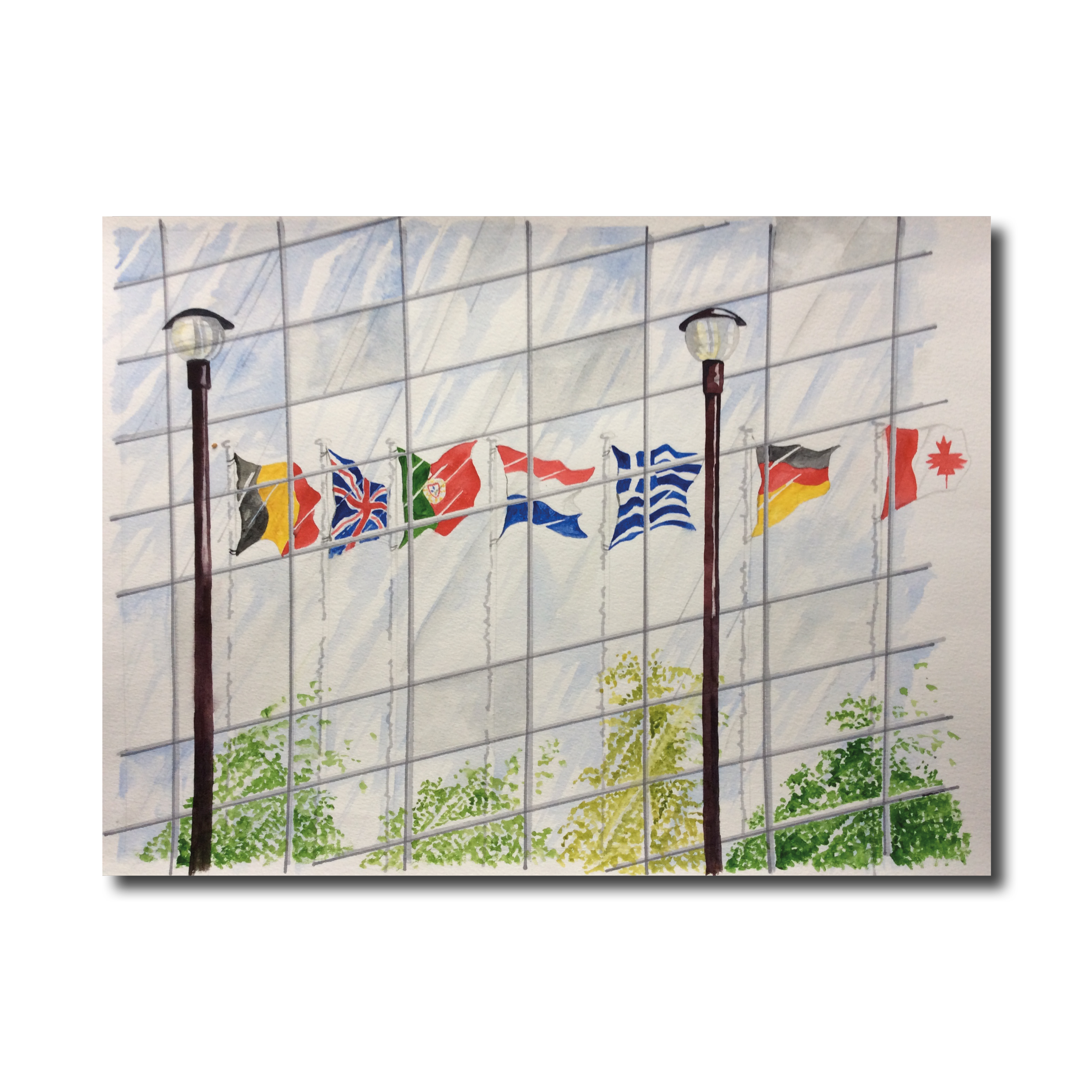 Flags UN