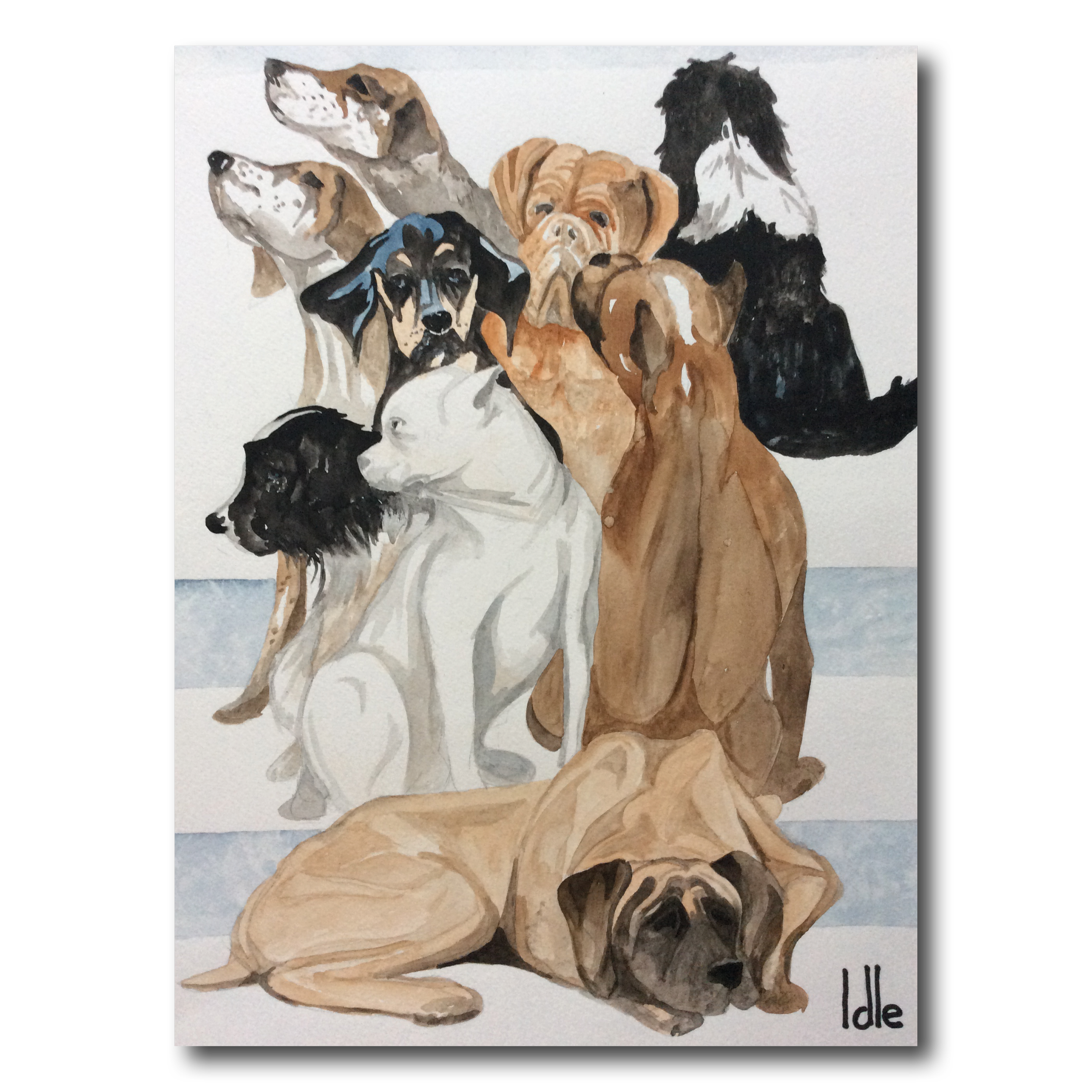 Nine Dogs