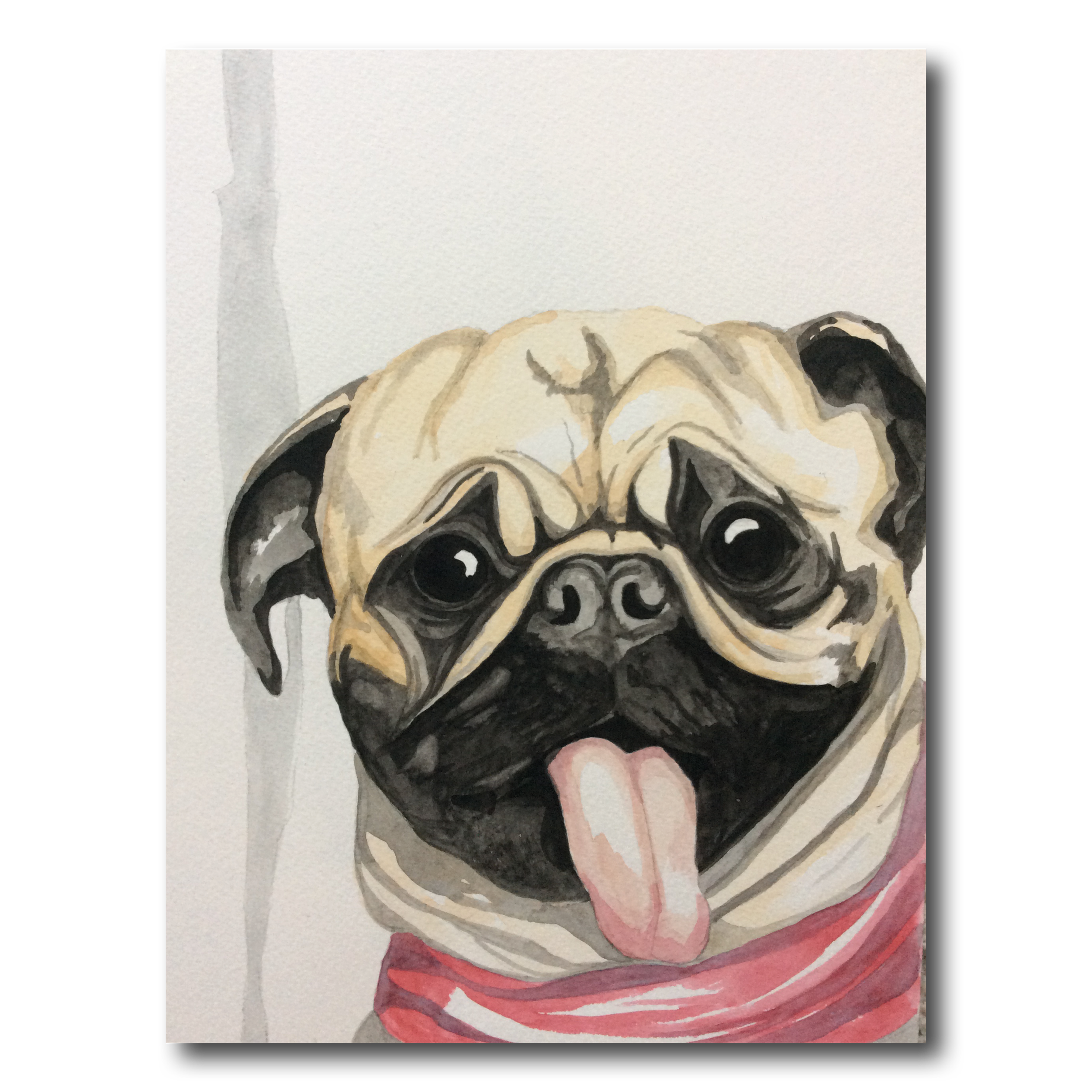 Pug