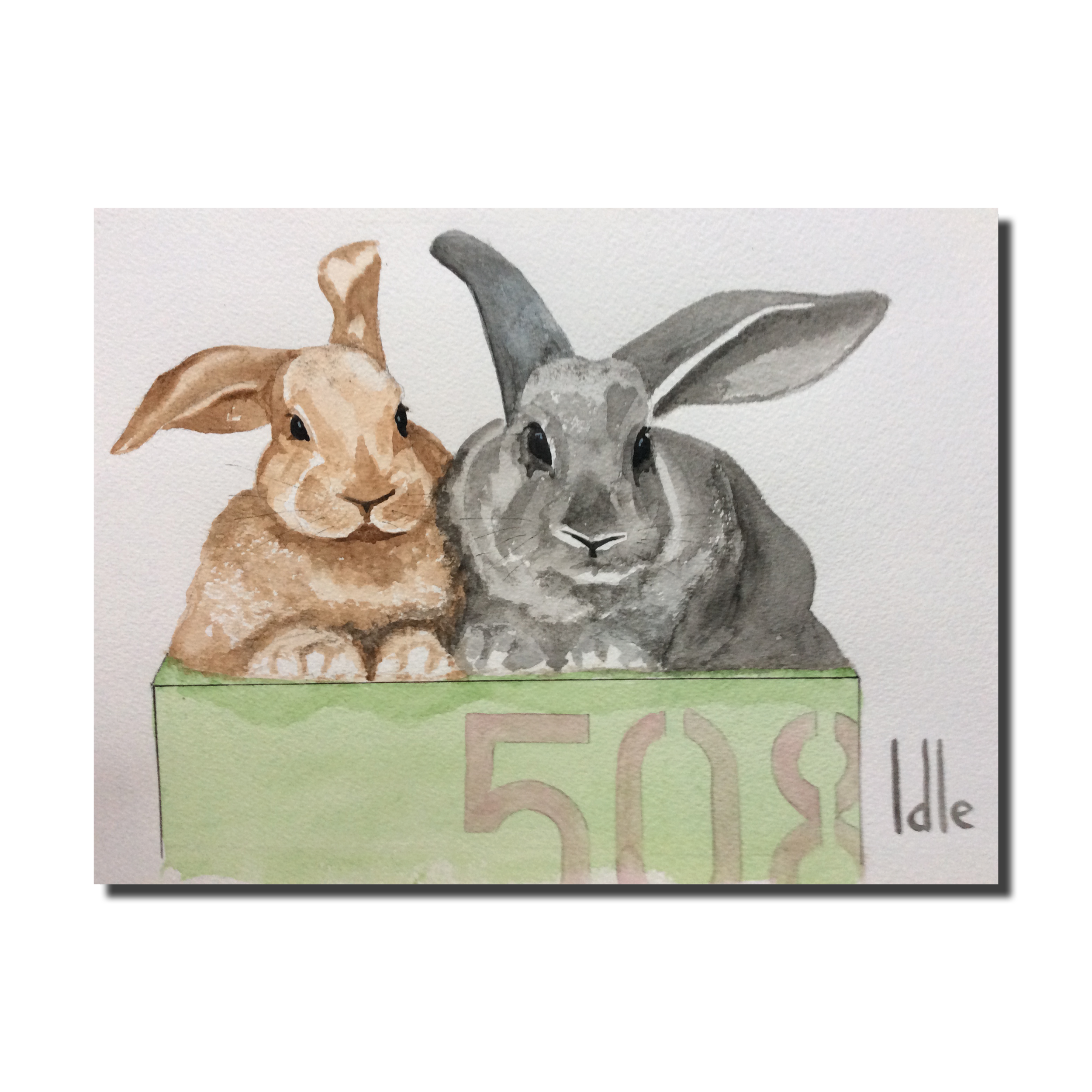 Small Rabbits