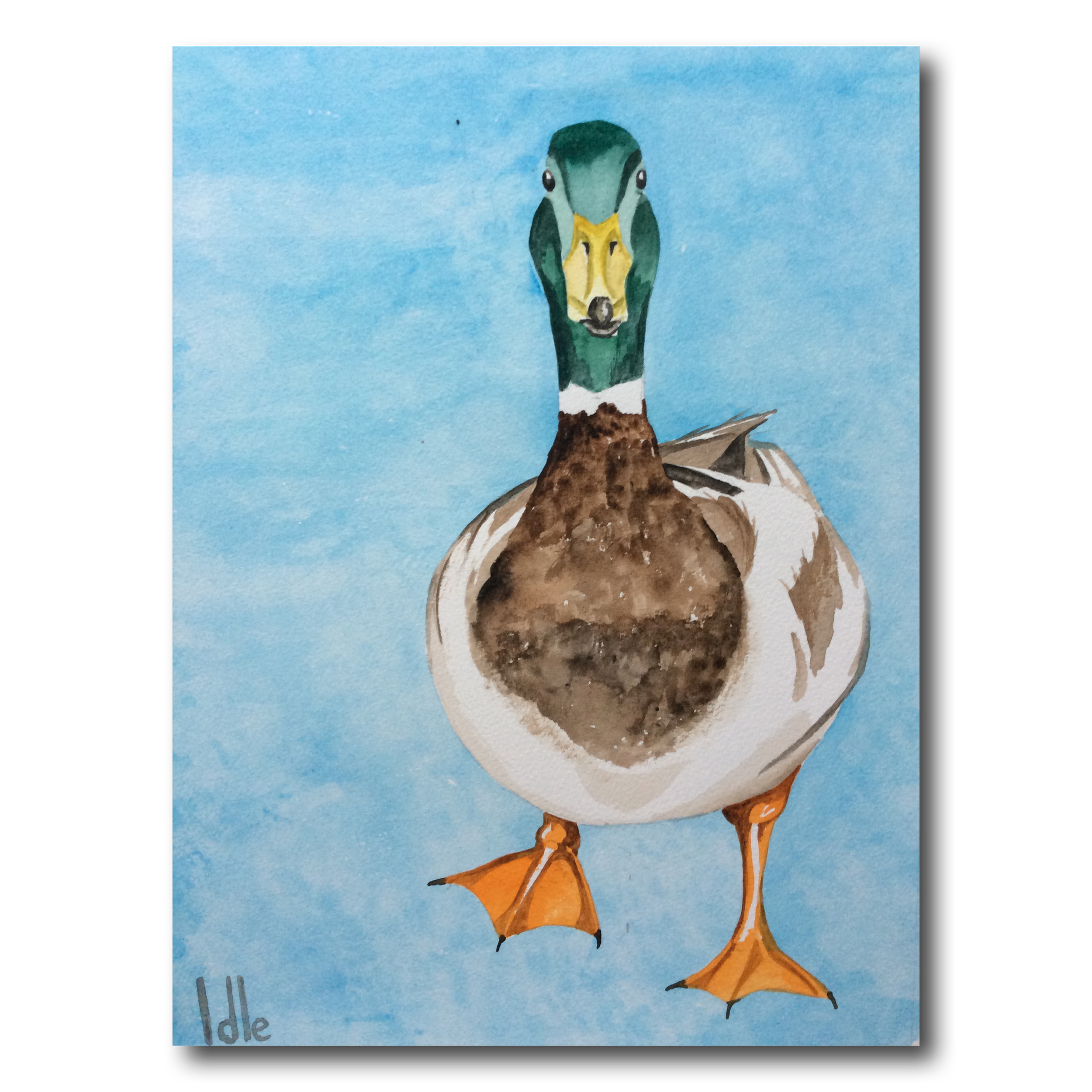 Lame Duck