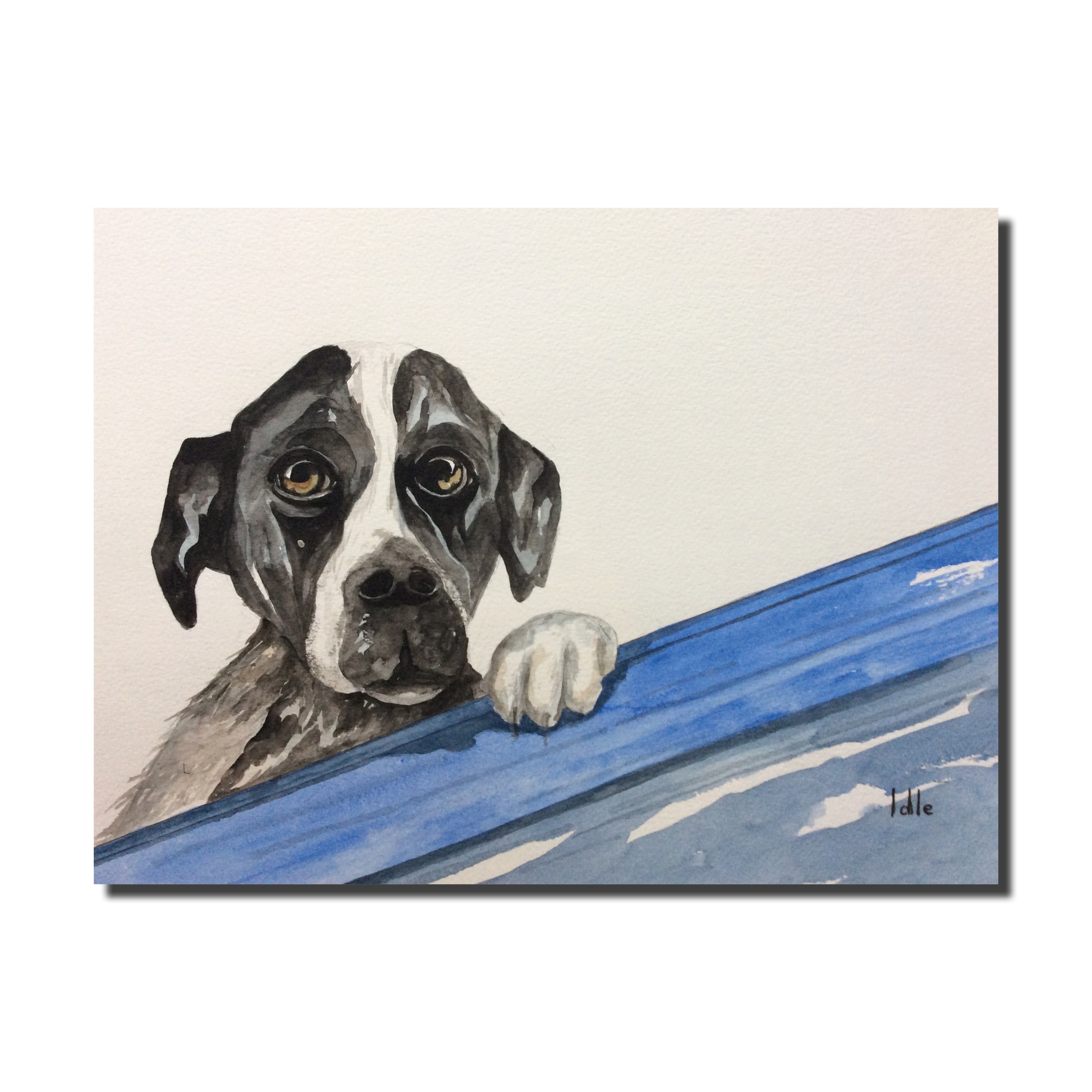 Lost Dog