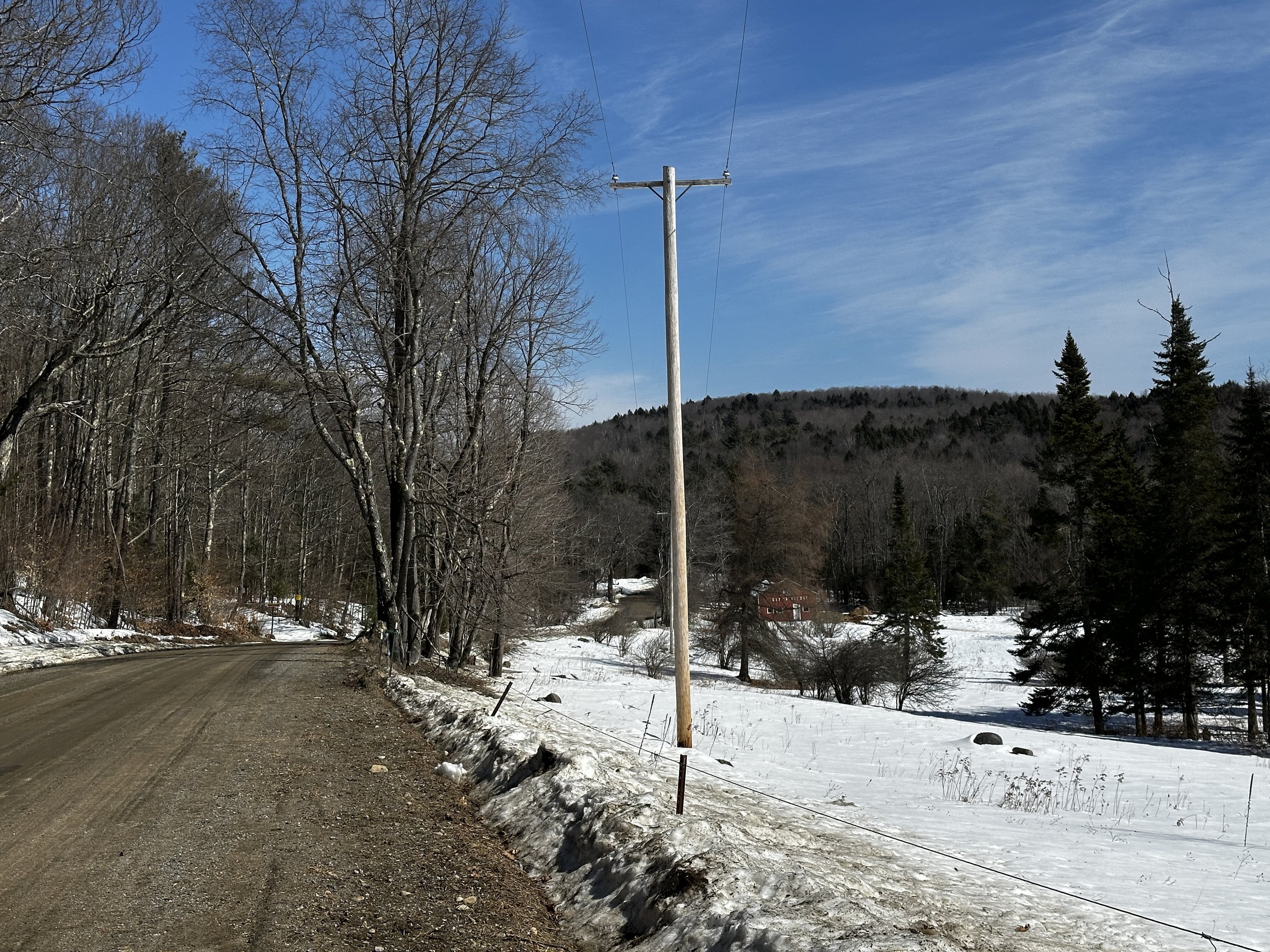 A snowy rural landscape with a dirt road, leafless trees, a utility pole, and a mountain in the background under a partly cloudy sky.