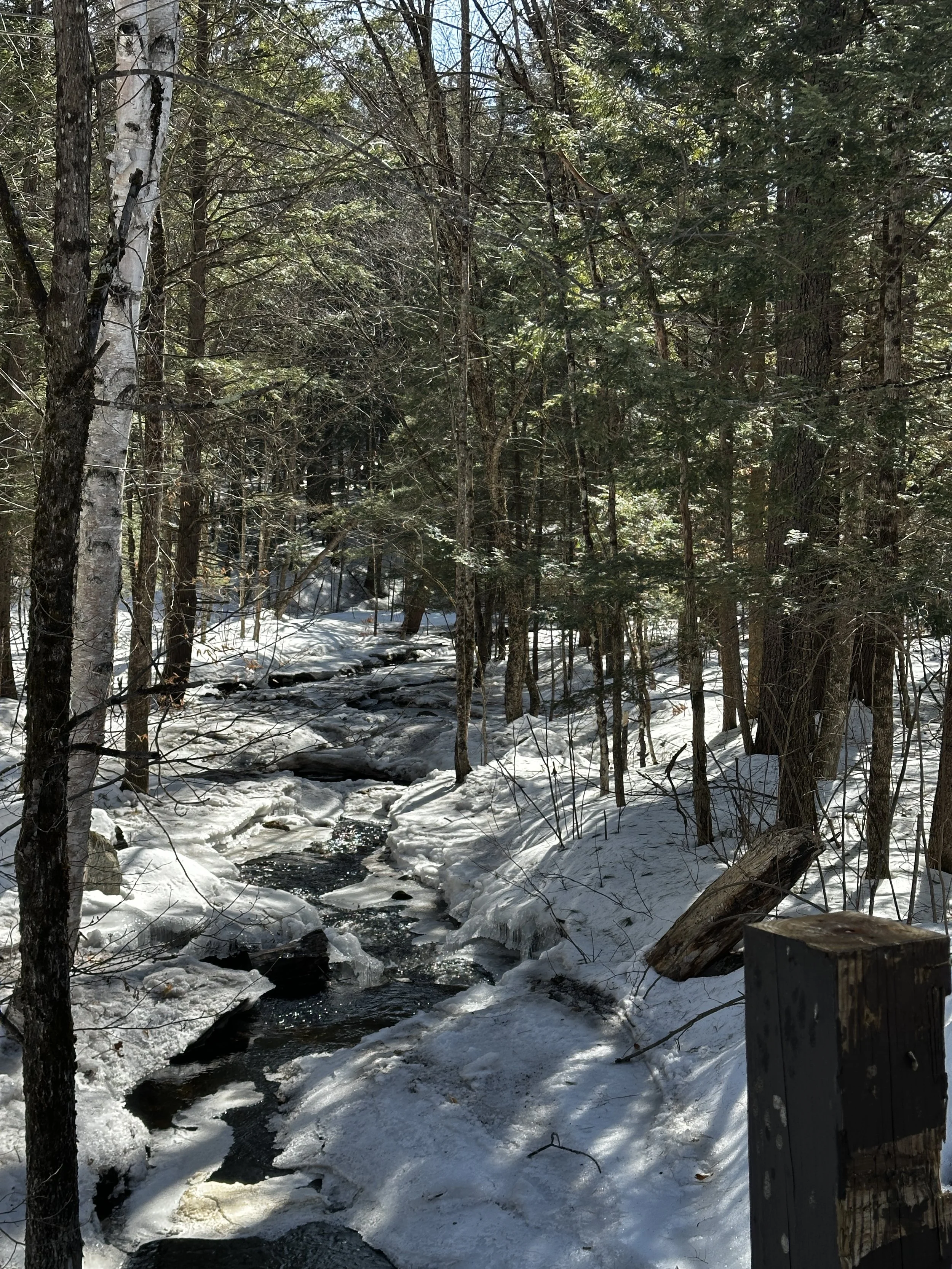 A snowy forest scene with a small flowing creek and trees on both sides, some snow and ice on the ground, and a wooden post in the foreground.