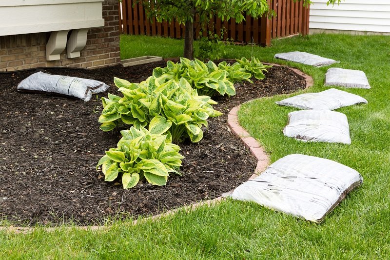 scientific-plant-service-mulch.jpg