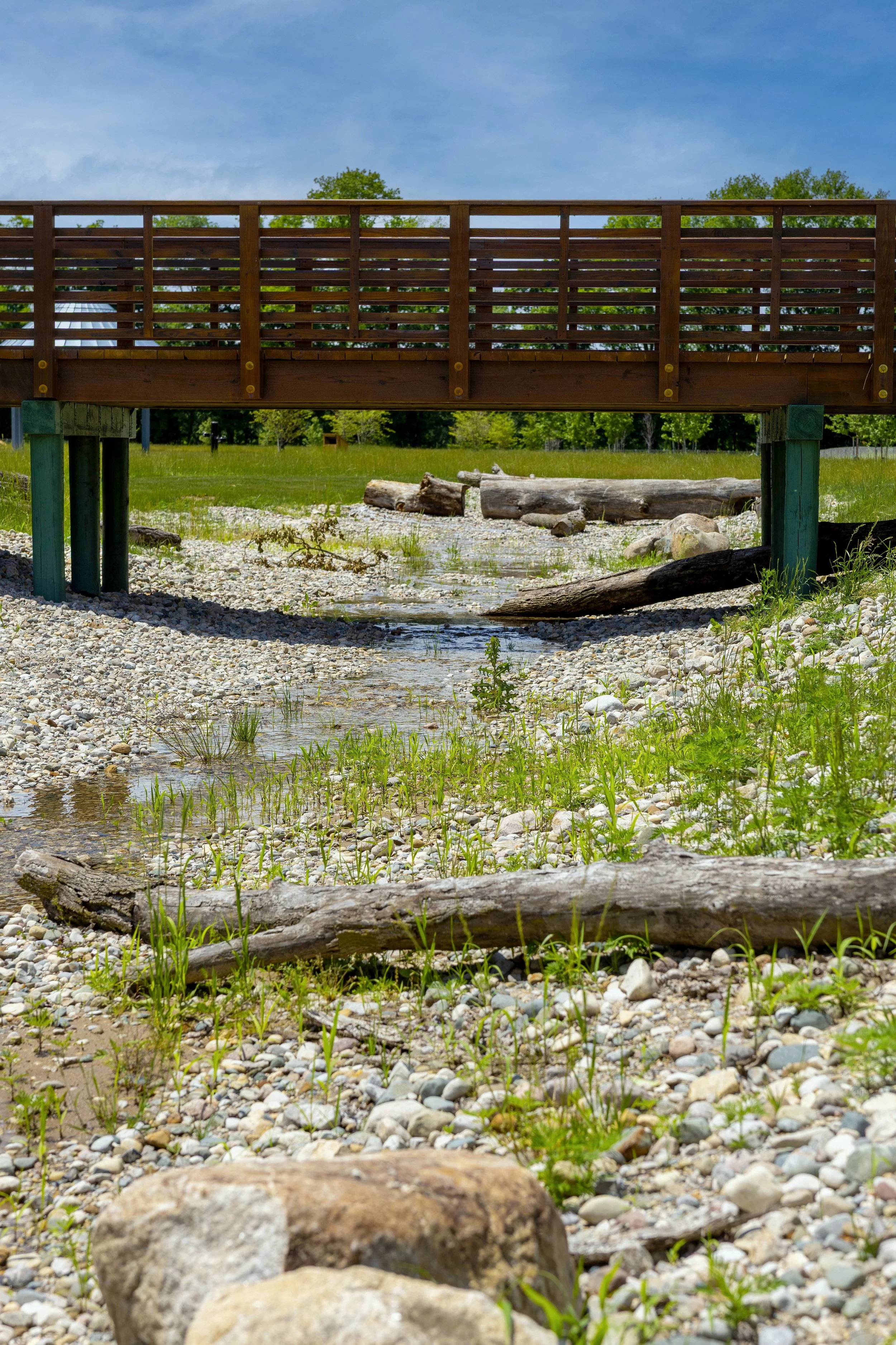 Wahlfield_Park_6.11.26_018.jpg