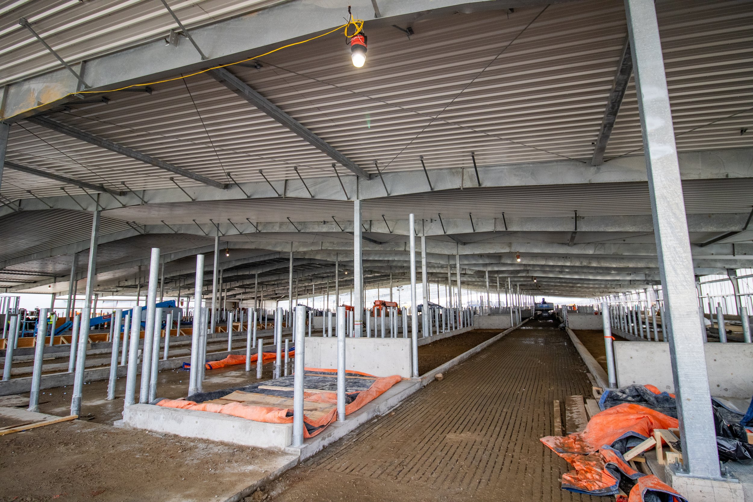 MSU Dairy facility under construction by FCC Construction