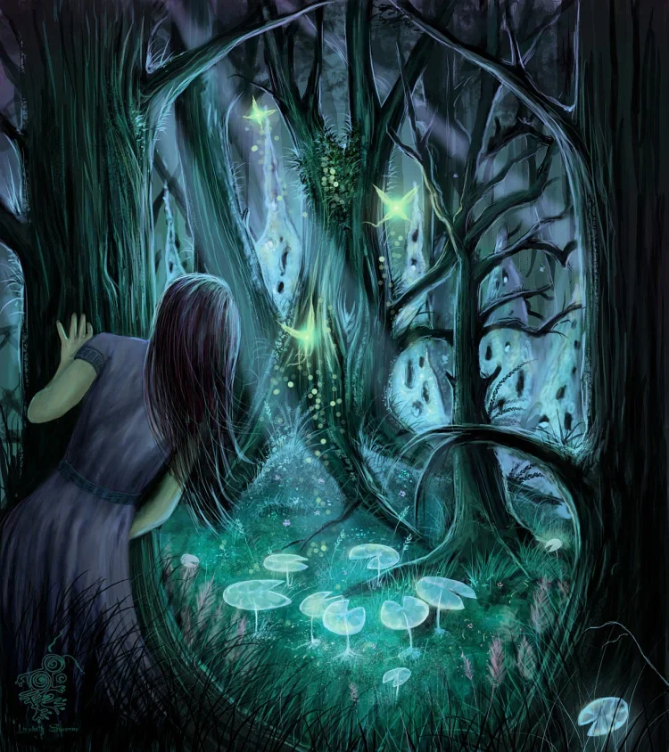 LOOKING FOR MAGICAL WONDERS