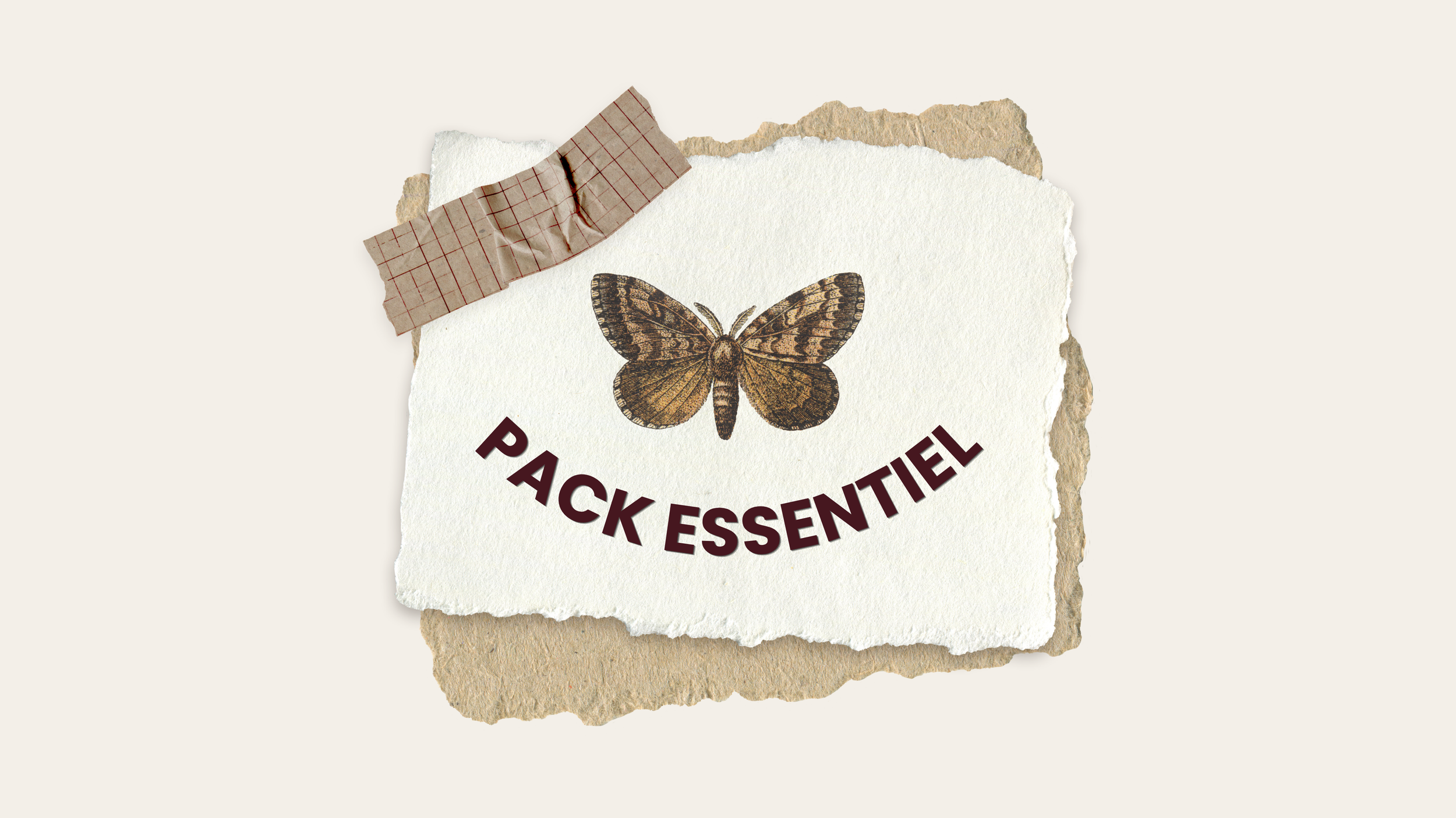 Pack Essentiel - 3 projections 3D immobilières