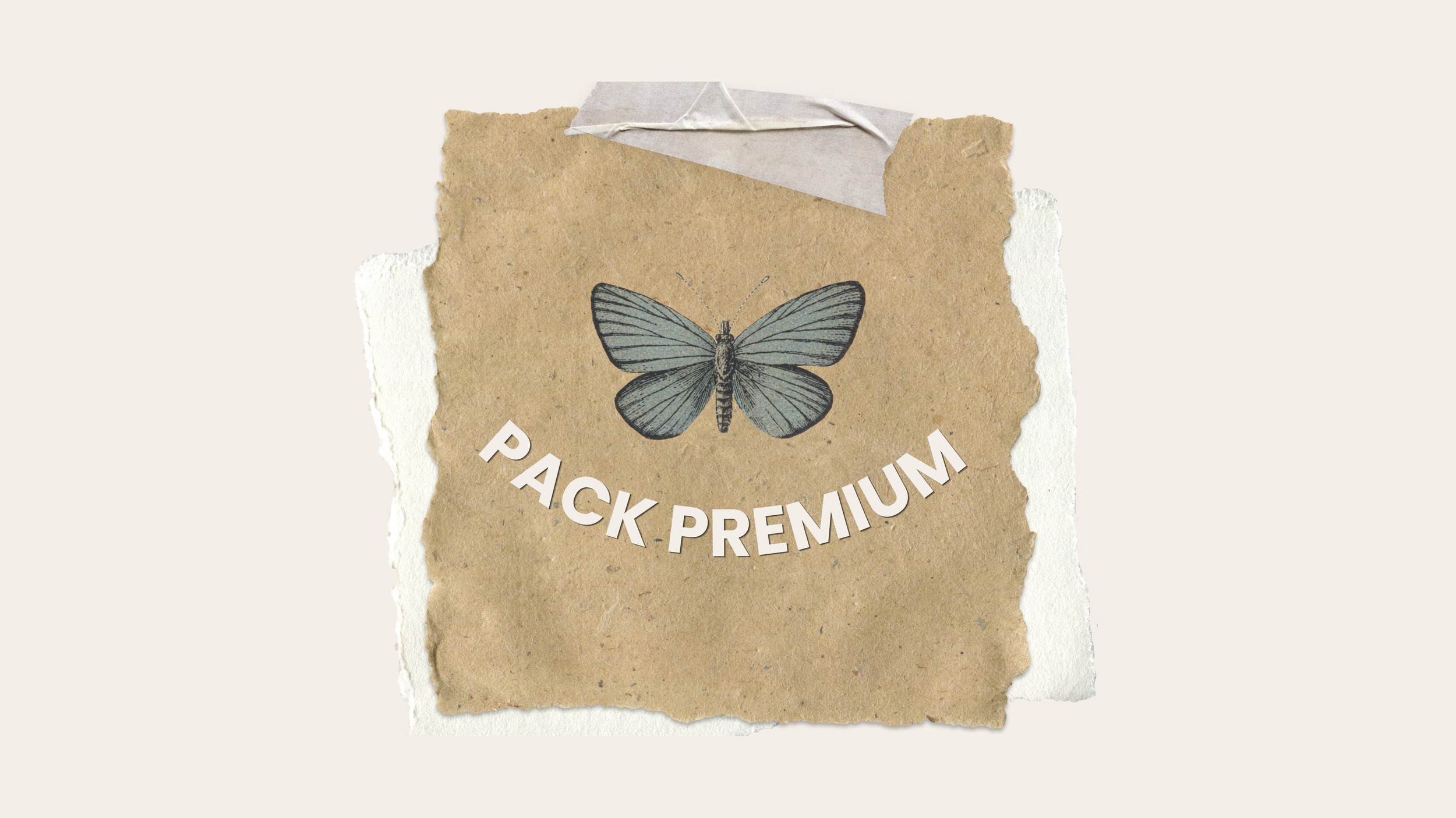 Pack Premium - 5 projections 3D immobilières