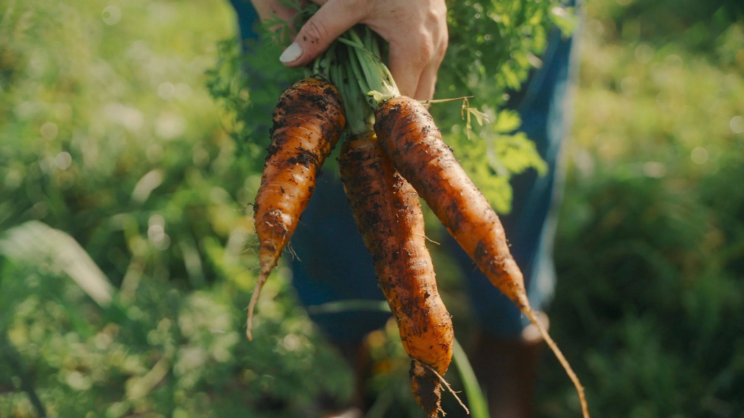 Wednesday Evening Gather And Grow