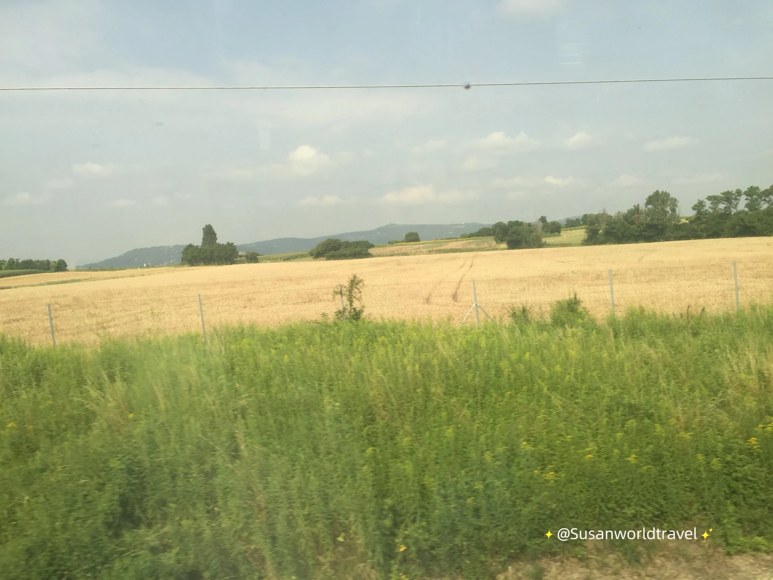 IMG_1227.jpeg