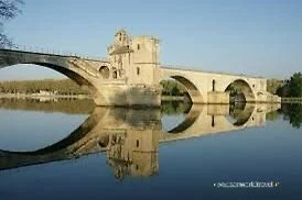 IMG_1231.jpeg