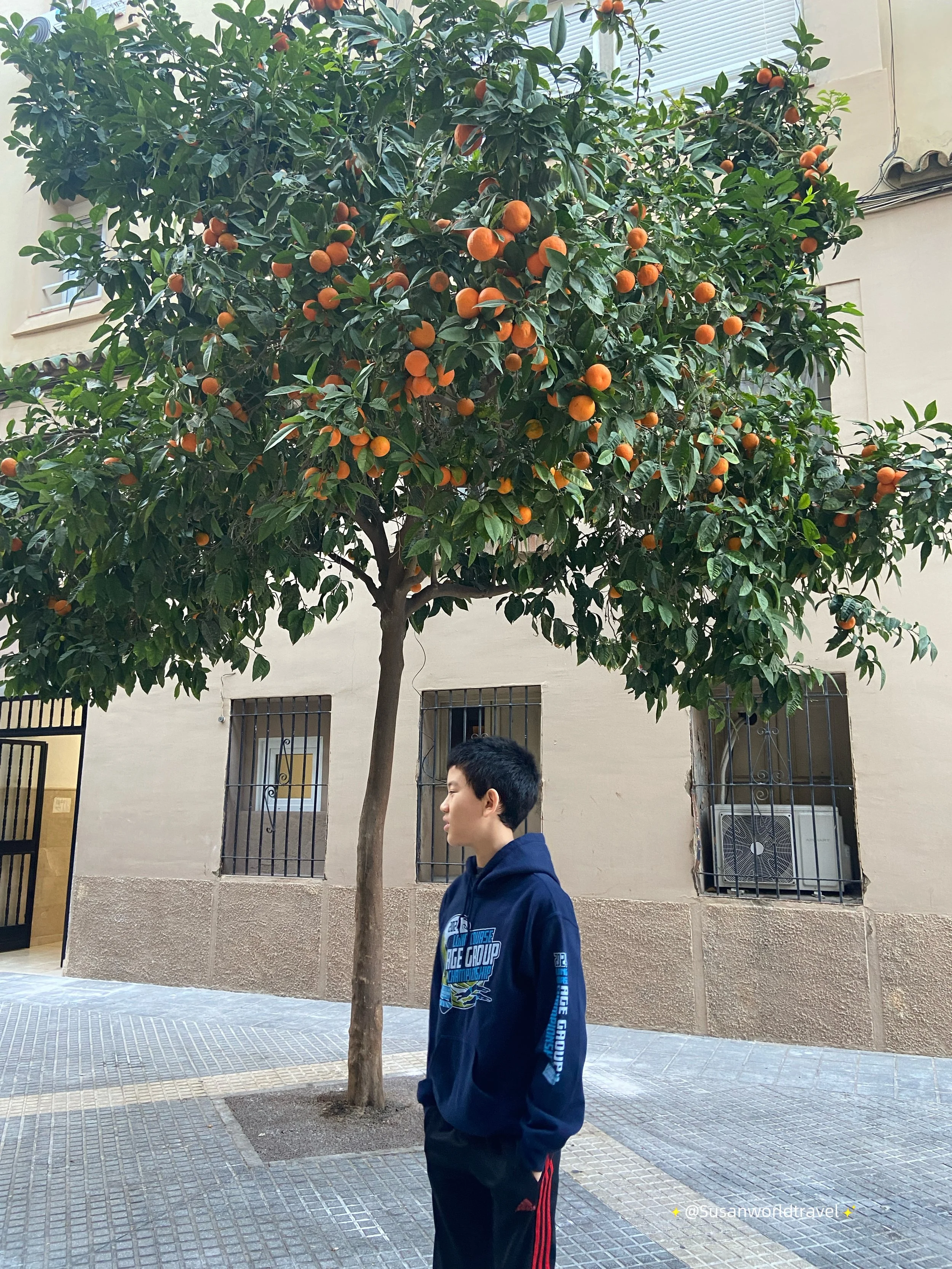 IMG_8012.jpeg