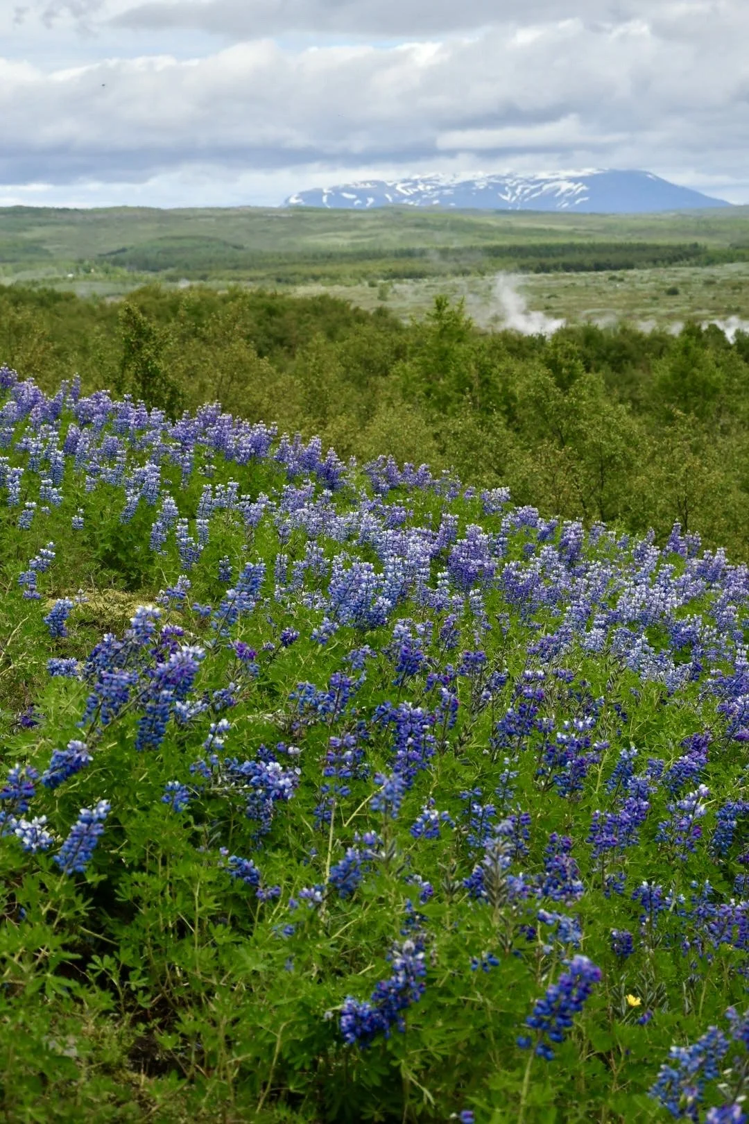d254857963b4d014018e2fe00a63ebb2.jpeg