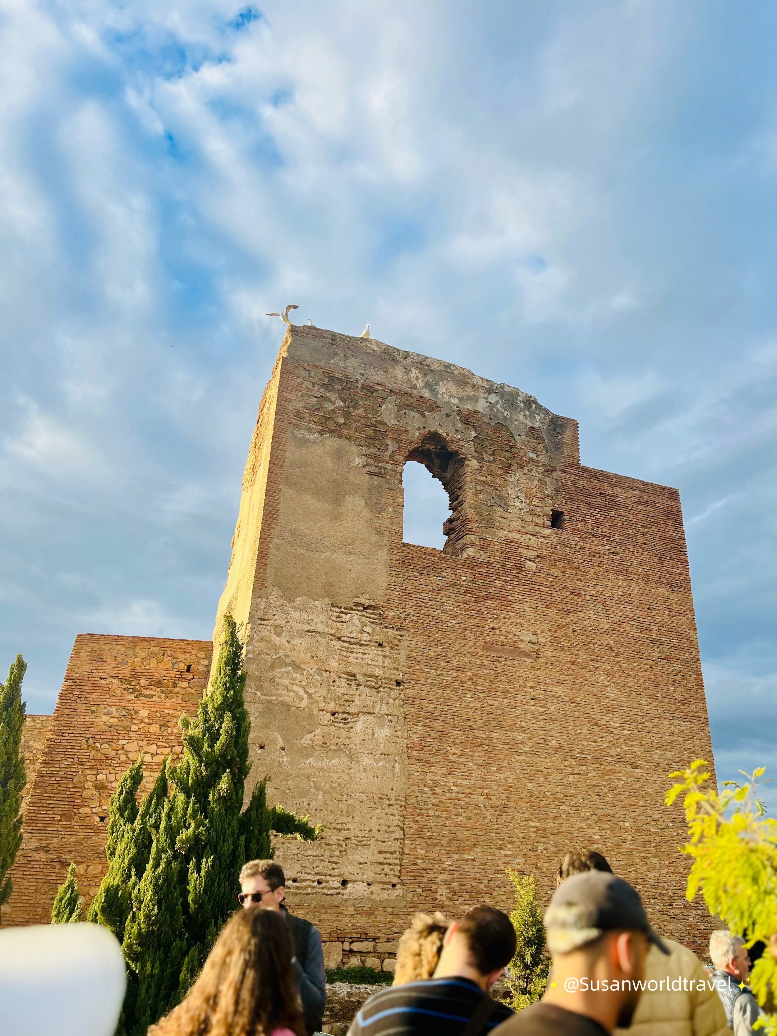 IMG_8085.jpeg