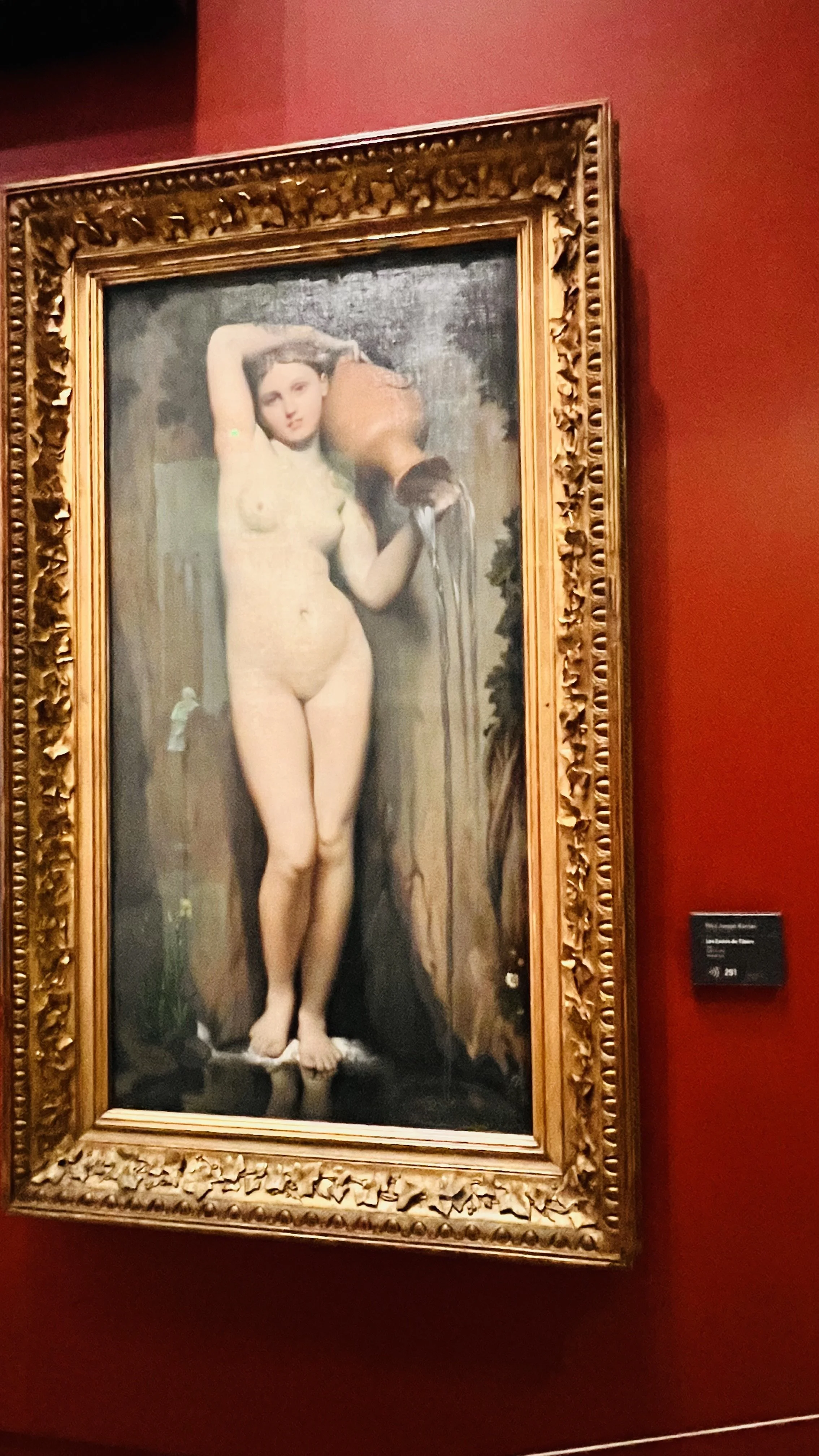 IMG_4695.jpeg