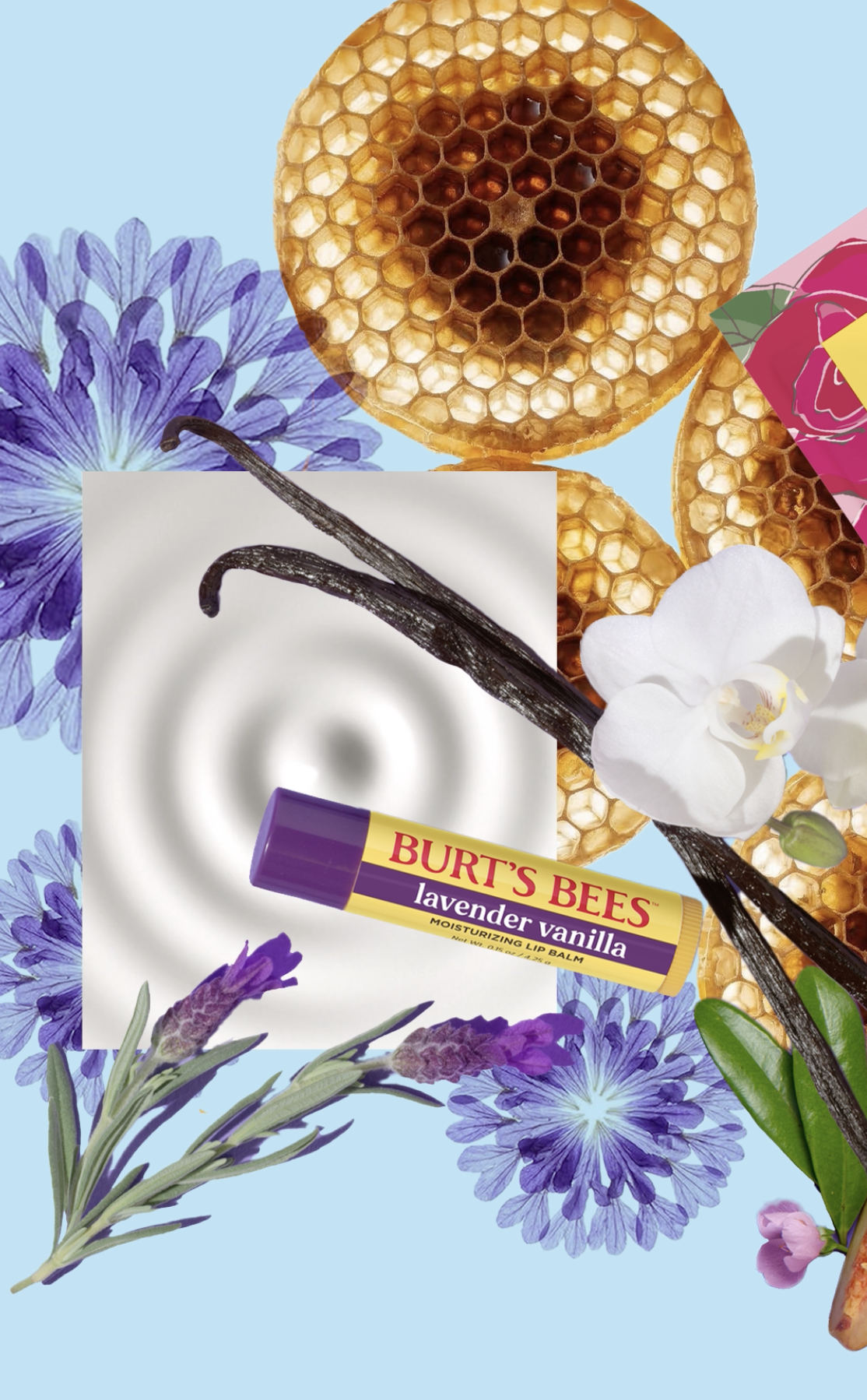 A collage featuring a honeycomb, vanilla beans, a Burt's Bees lavender vanilla lip balm, and various purple and white flowers on a light blue background.