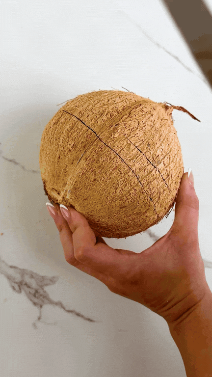 Untitled design (2).gif