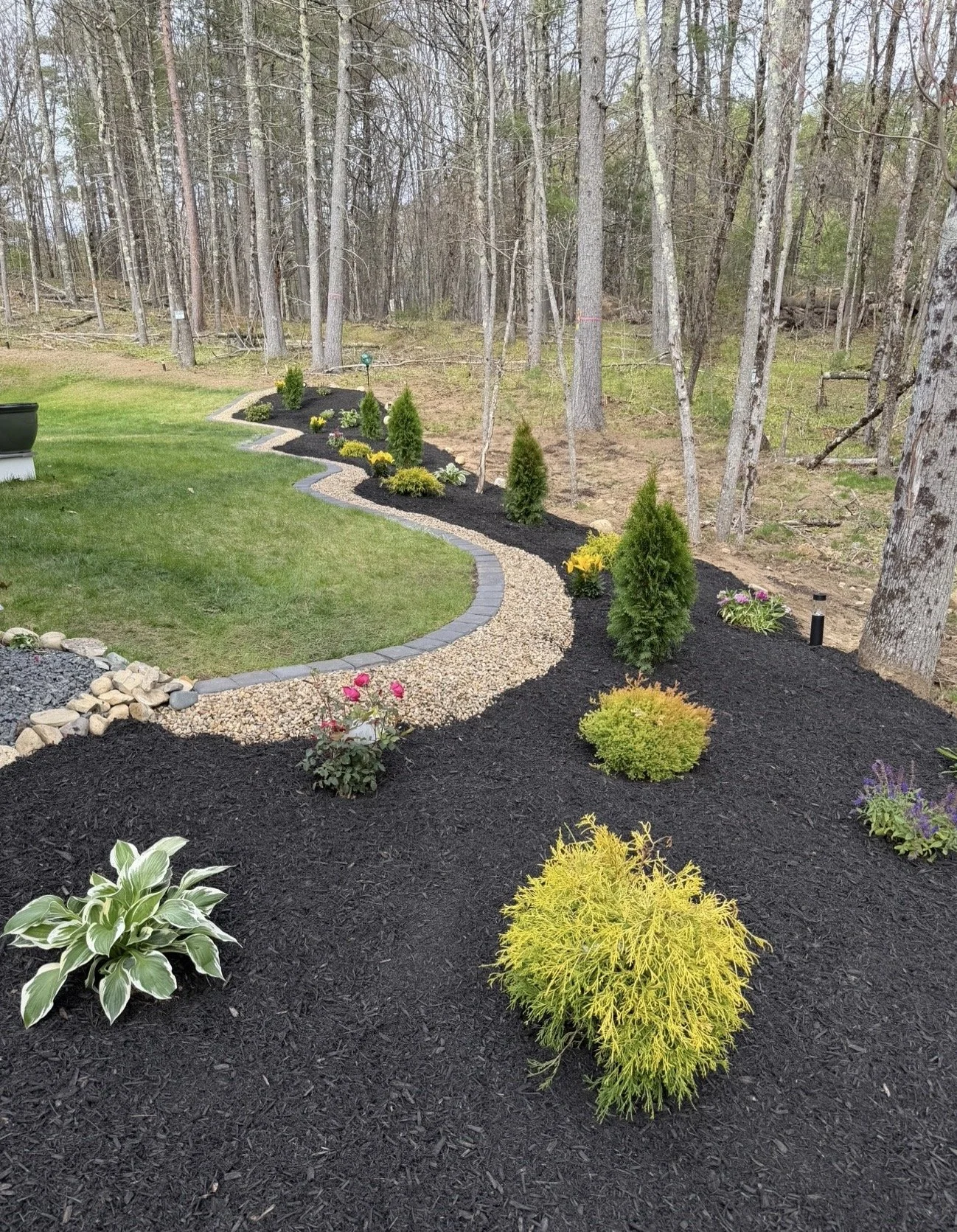 A landscaped backyard garden with a curved pathway lined with small plants, shrubs, and decorative rocks, bordered by black mulch and a grassy lawn, with a wooded area of tall trees in the background.