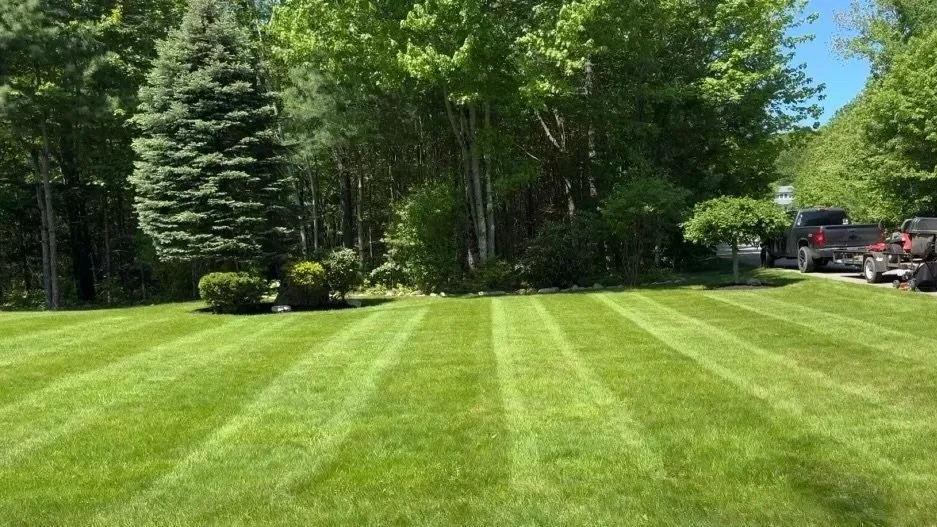 A well-maintained lawn with fresh cut grass, lined in stripes, bordered by trees and bushes, with parked cars in the background on a sunny day.