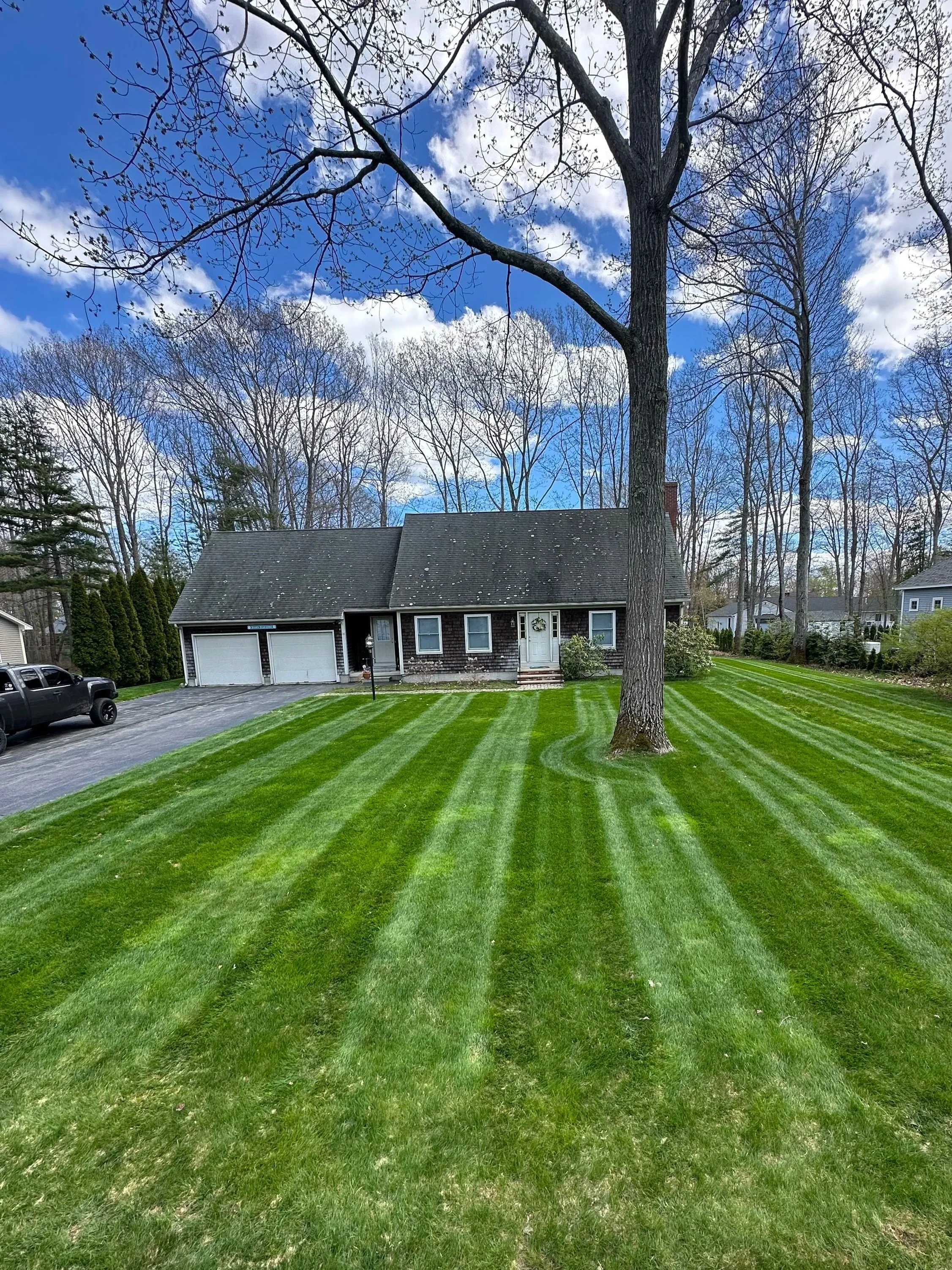 A well-maintained front yard with bright green striped grass, a large tree in the center, a house with a dark roof, and some cars parked on the driveway. The sky is blue with scattered clouds and leafless trees in the background.