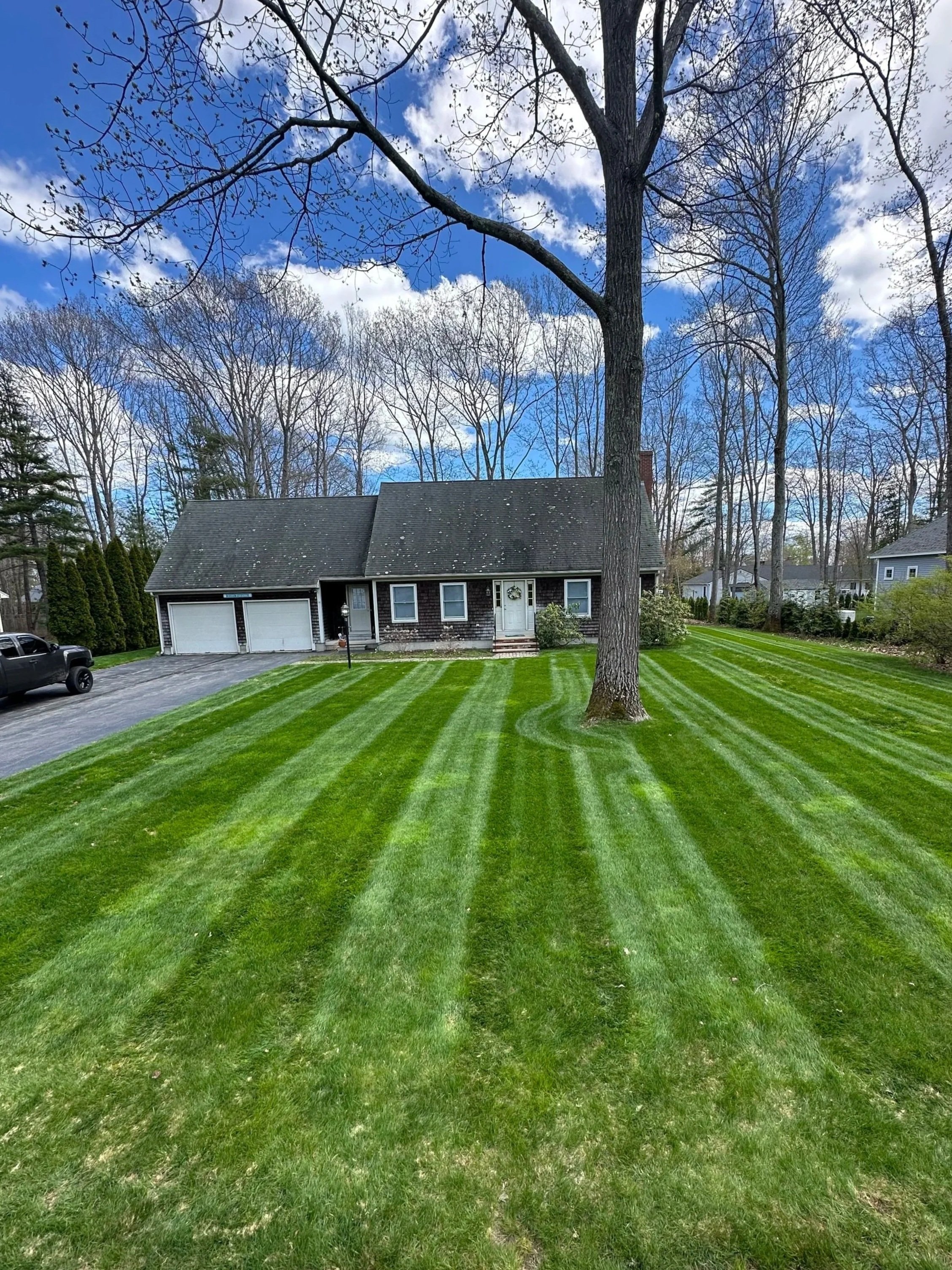 Vibrant green lawn, fresh mowed grass, with clean lines from the mower, and a curve around a large tree, and a truck parked in a driveway off to the side of the grass
