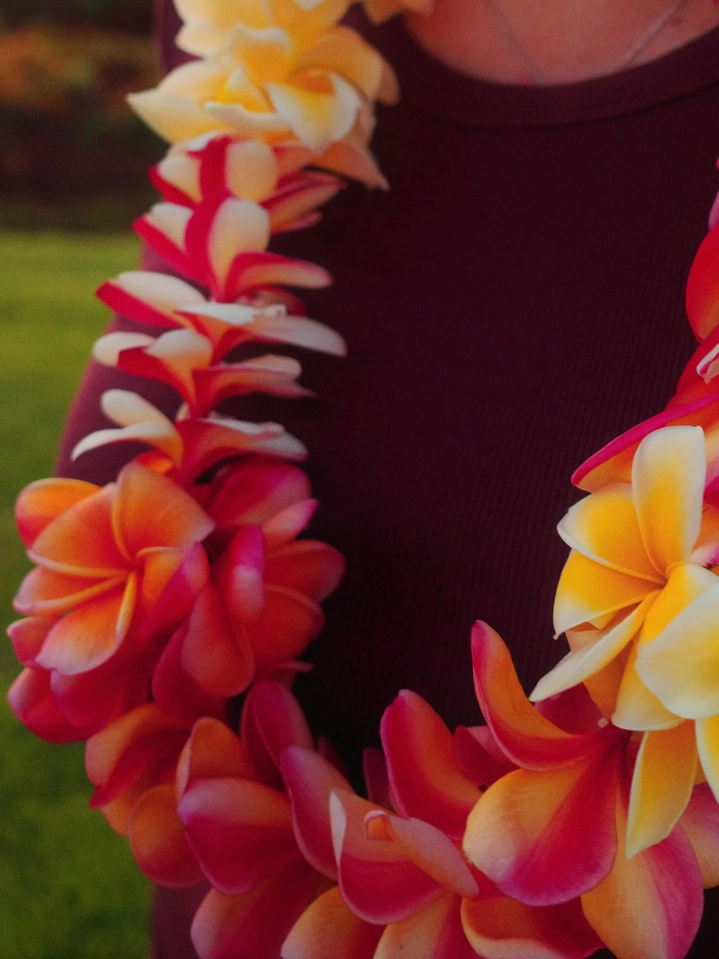 Builders &amp; Blooms&hellip;a little R&amp;D for 9th Island graduation season 2026 🤙🏽🌺