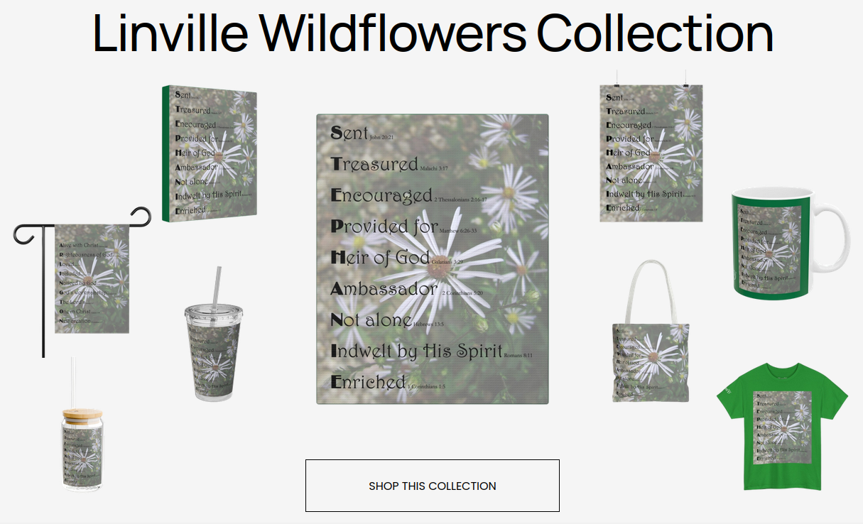 Linville Wildflowers Collection