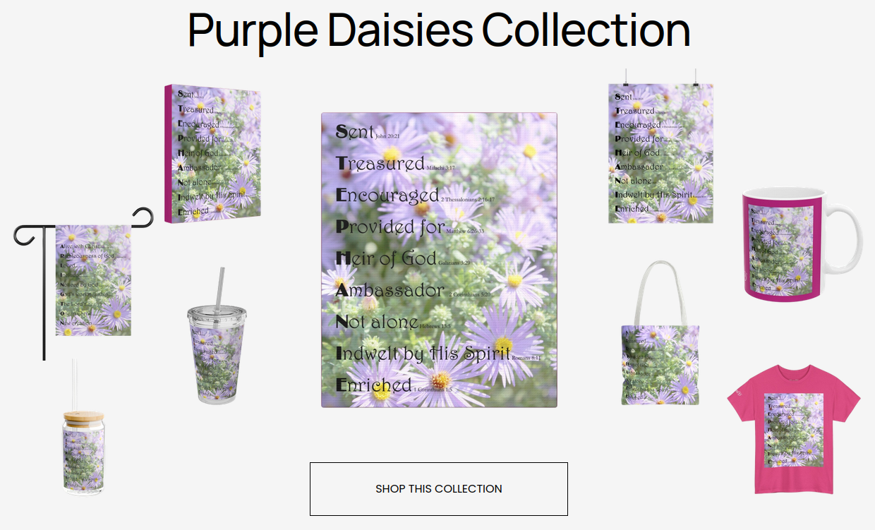 Purple Daisies Collection