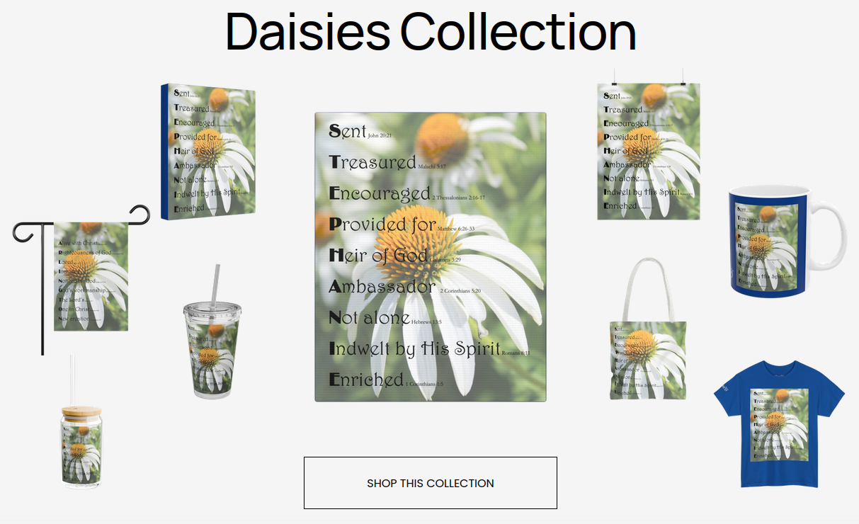 Daisies Collection
