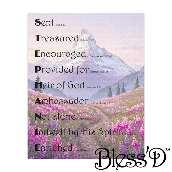 Shop Our Collections