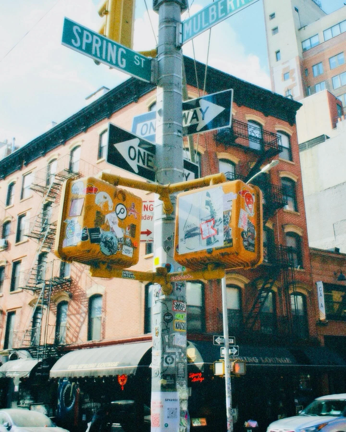 Happy Spring 😎🦈🌷