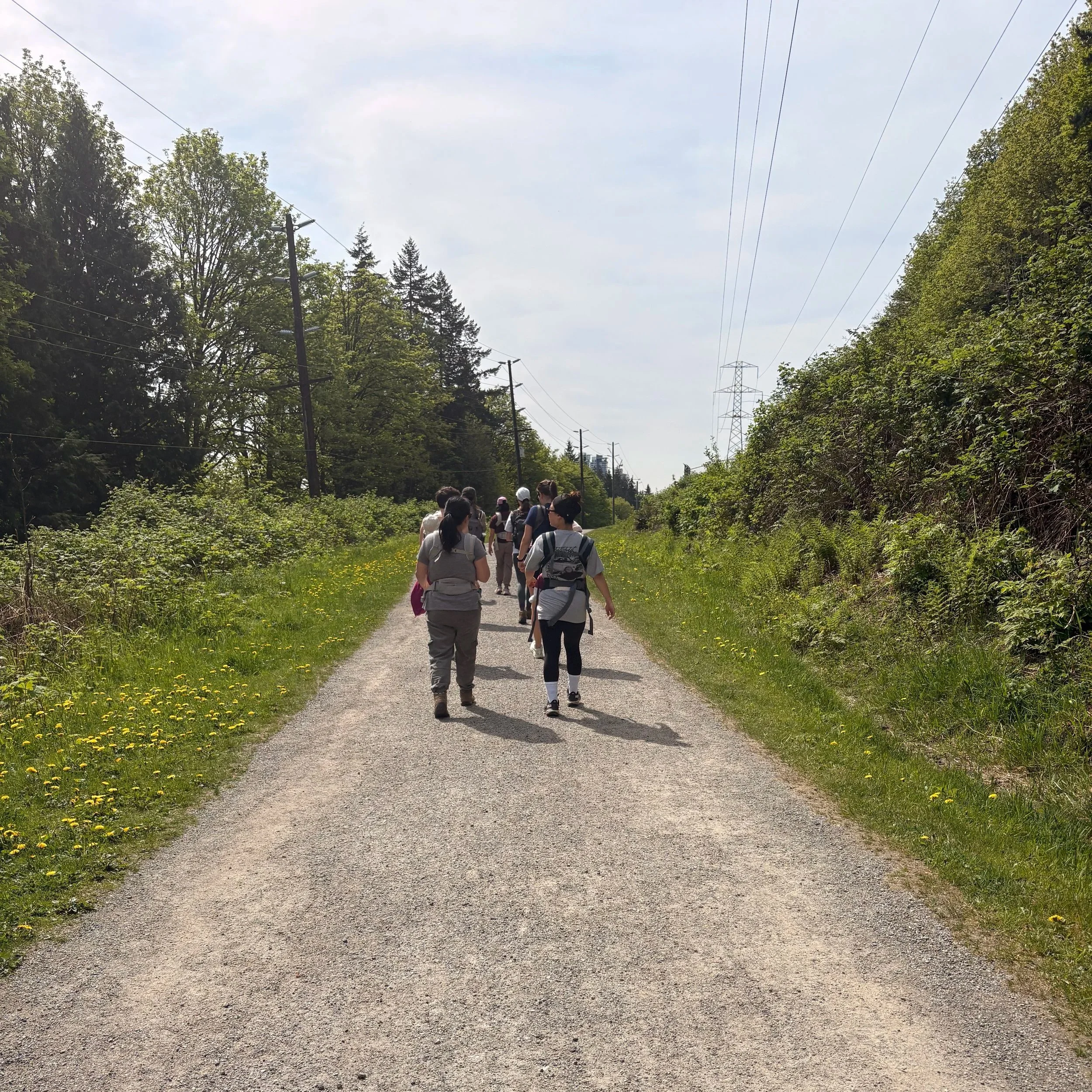 Late Spring Burnaby/Burquitlam