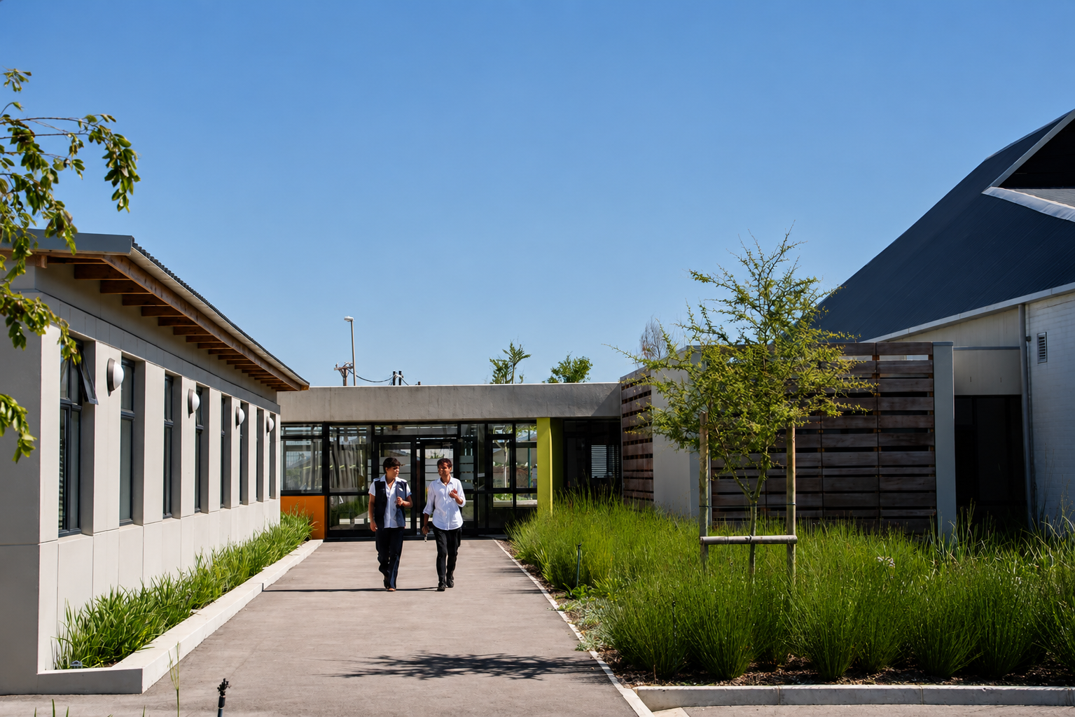 Modern houses with white walls and sloped roofs, a row of young trees along a pathway, and a grassy yard under a clear blue sky.