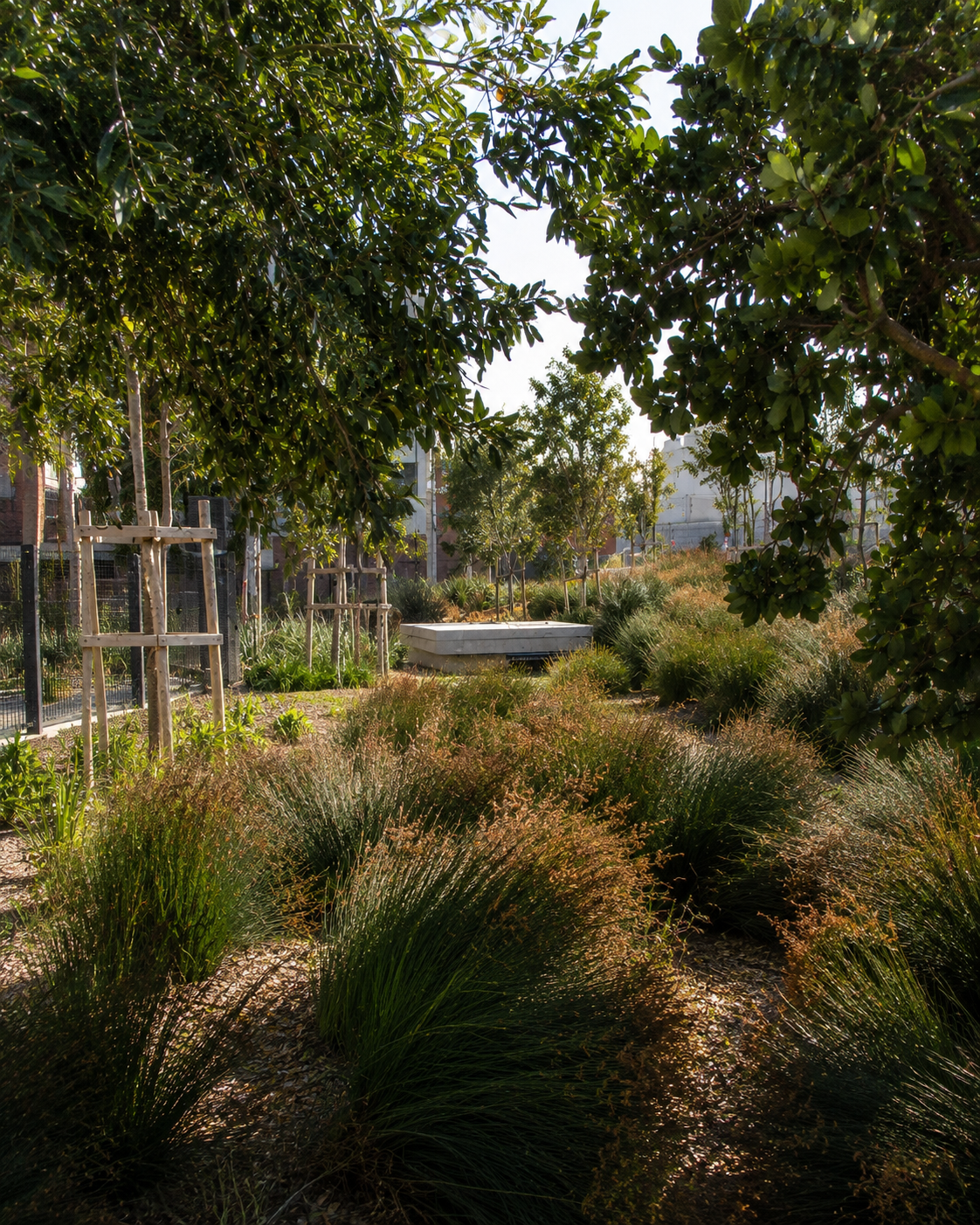 A landscaped outdoor area with various green and brown plants, trees, and shrubs, with a small structure or bench in the background.