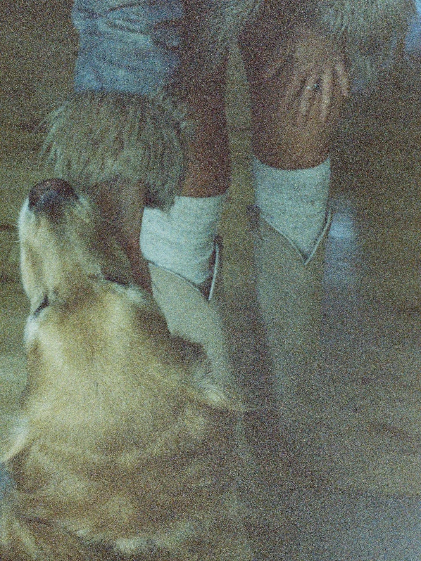 if your spirit is a lil too wild for your nervous system you can a) shrink the spirit or b) strengthen the system