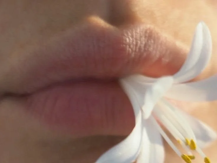 The moment before the bloom