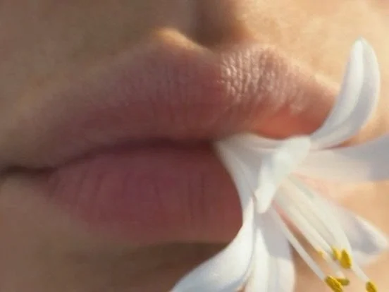 Before the bloom, there&rsquo;s growth, tension, and a bit of warming up. An in-between worth celebrating. A balancing of THROAT CHAKRA to prepare for light on expression. 

When the throat chakra is balanced, you:

Speak honestly
Express yourself fr