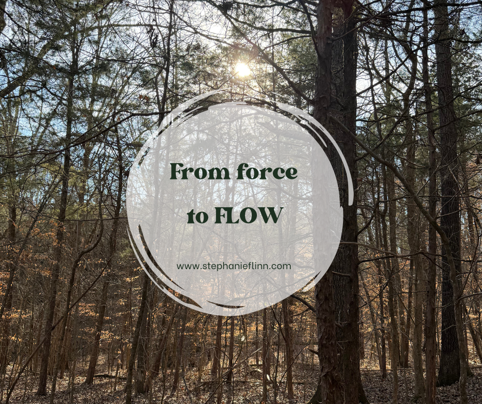 From Force to Flow