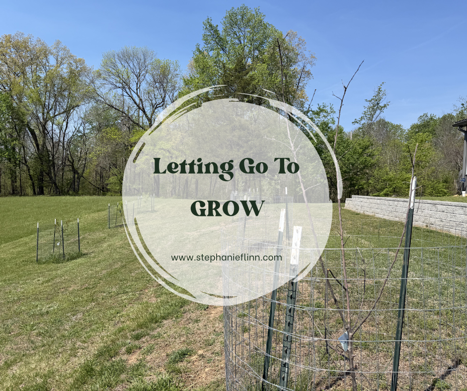 When It’s Dead, Let It Go