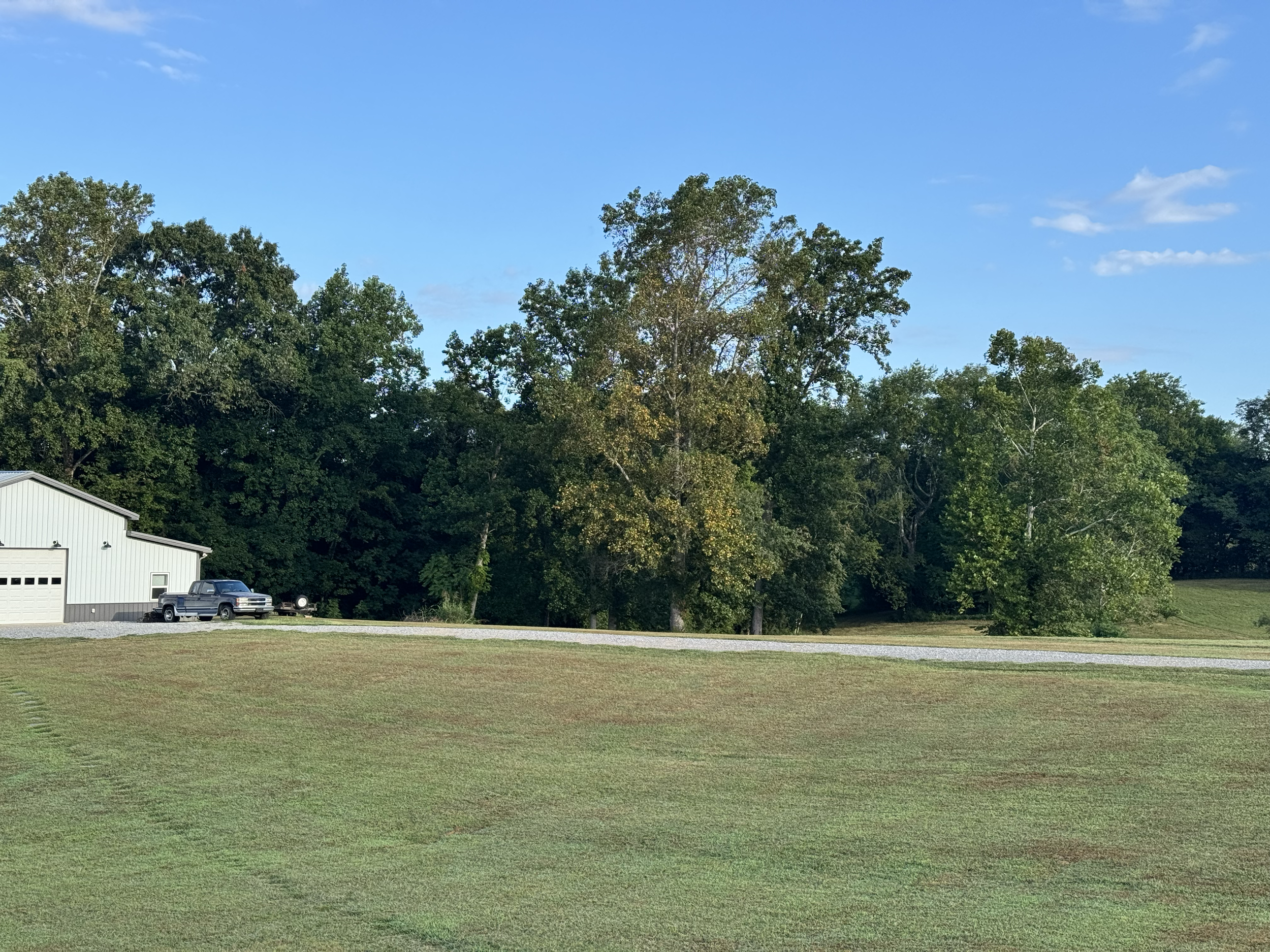 First tree changing colors in late summer in a Tennessee pasture, symbolizing courage and new beginnings.