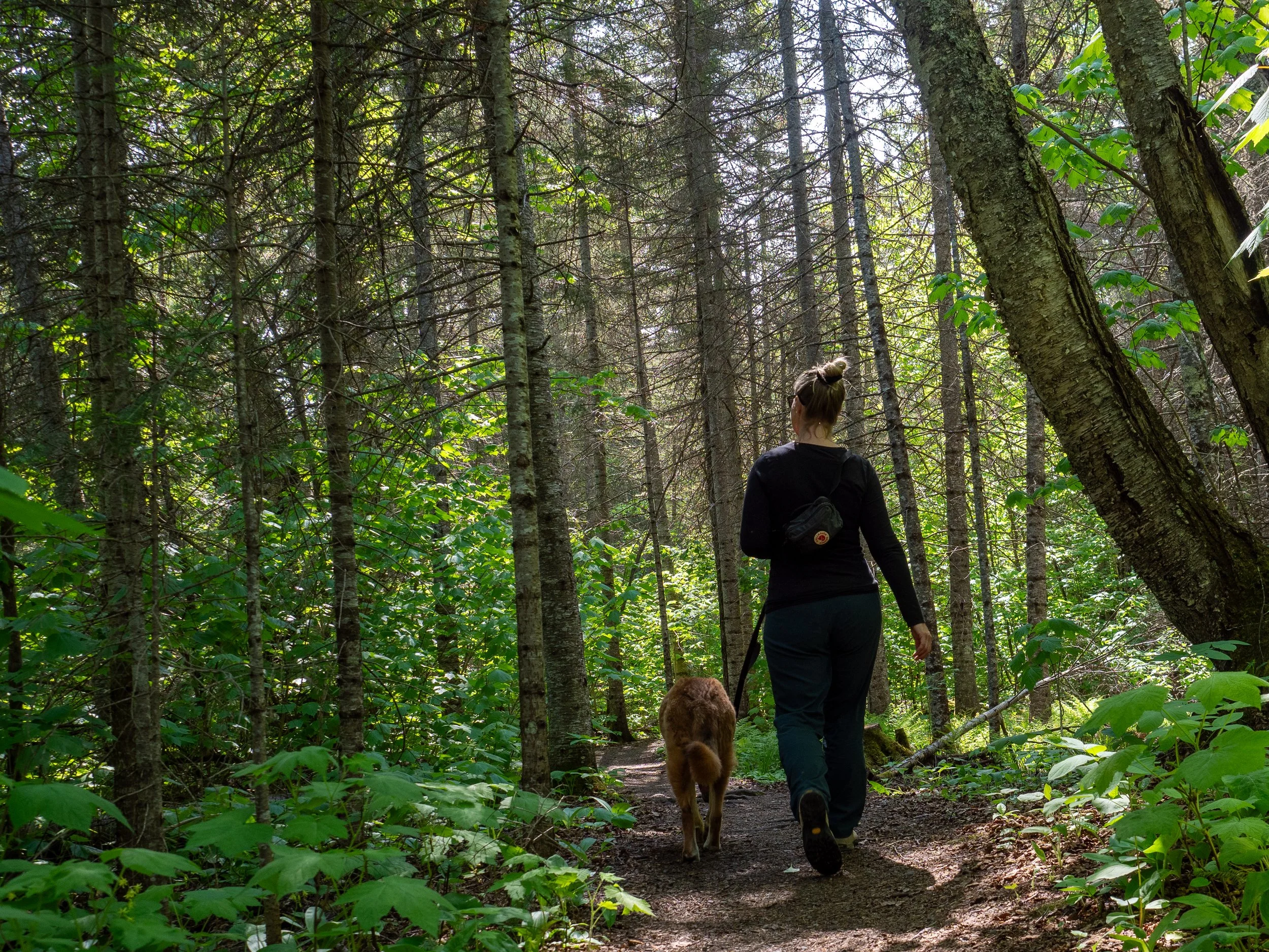 Battle Creek Walk/Hike