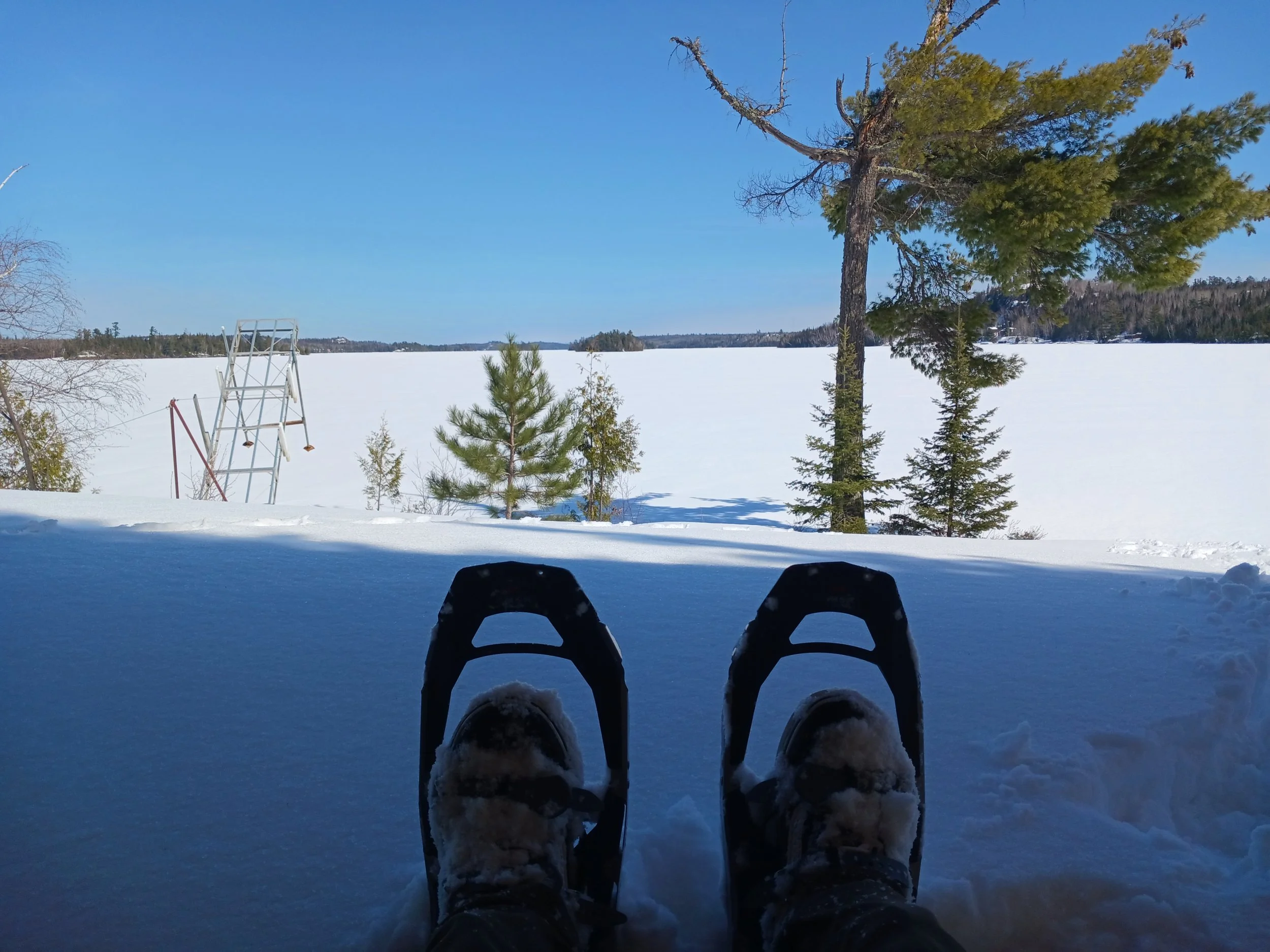 Theodore Wirth Snowshoeing