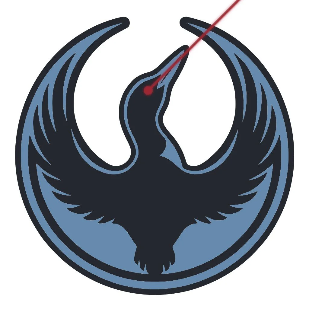 Food Donation and Ice Skating