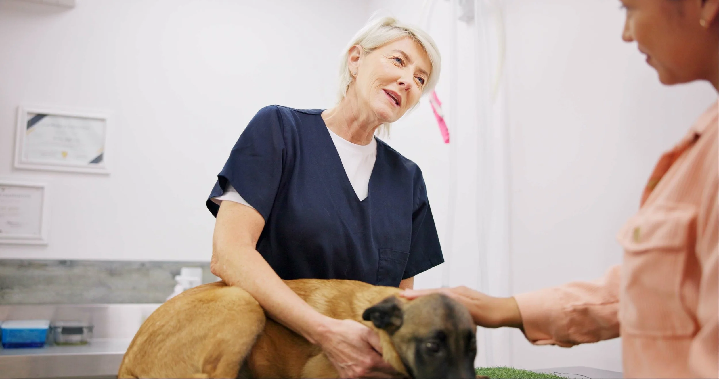 Client Conversations: Framing Non-Surgical Options When Surgery Isn’t An Option For Joint Disease