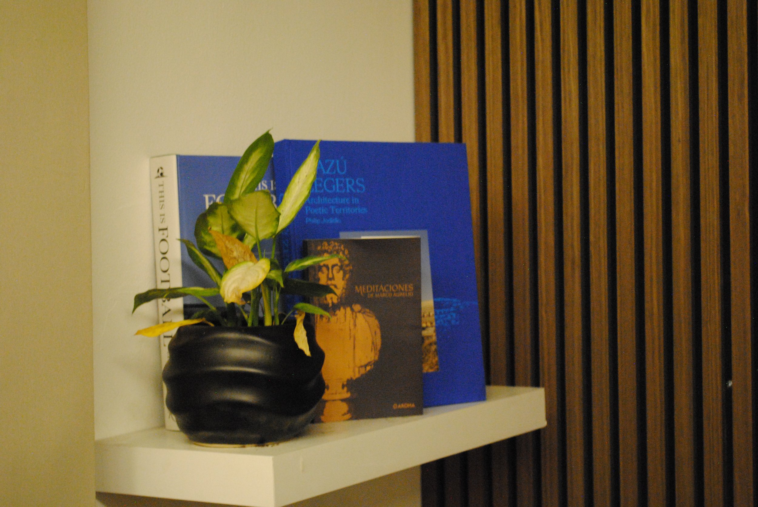 Estantería con libros y una planta en una maceta negra