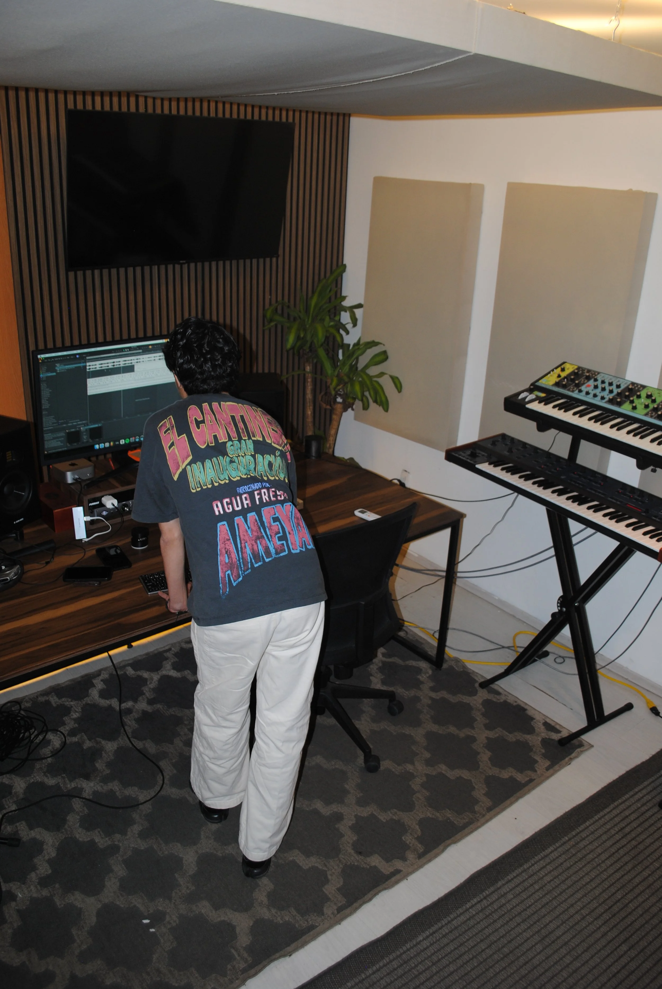 Estudio de grabación con una persona frente a una computadora, dos teclados musicales, una planta y pantalla de televisión